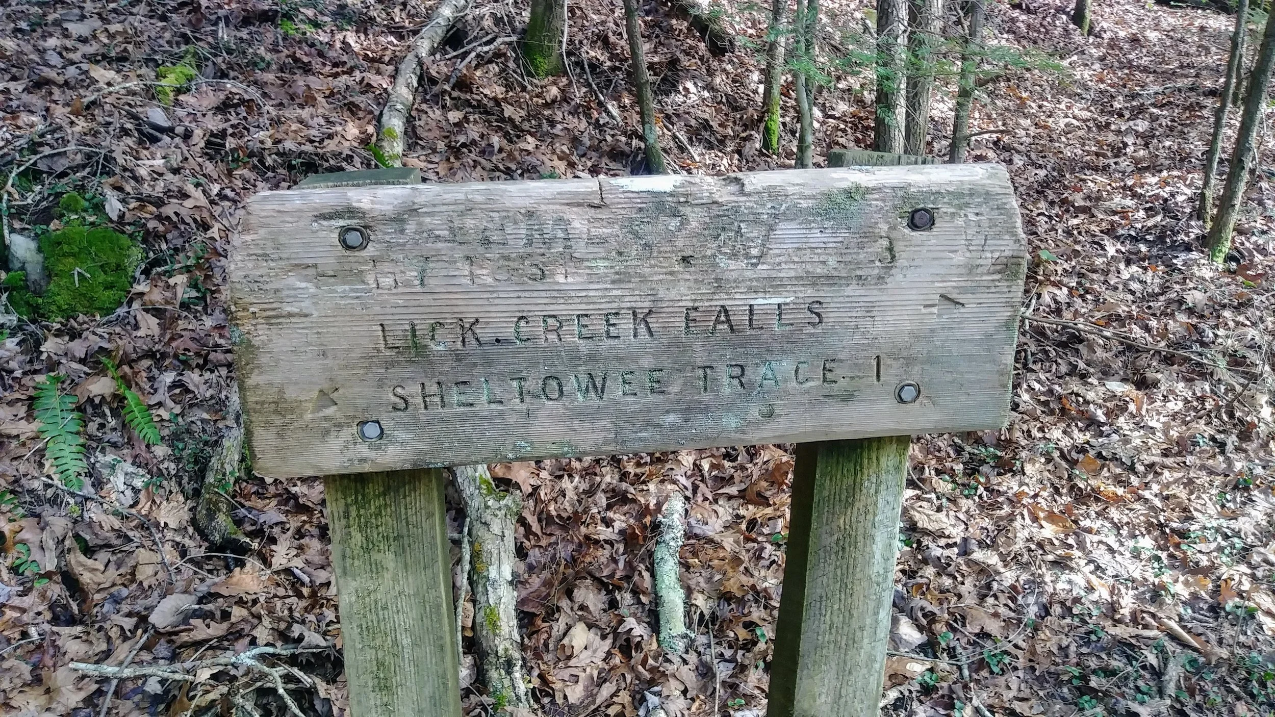 Trail sign coming out of west side of Lick Creek Falls Trail - take a sharp left toward Sheltowee Trace to get to Princess Falls
