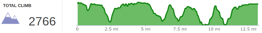 Elevation profile of Rough Trail 25K scouting hike