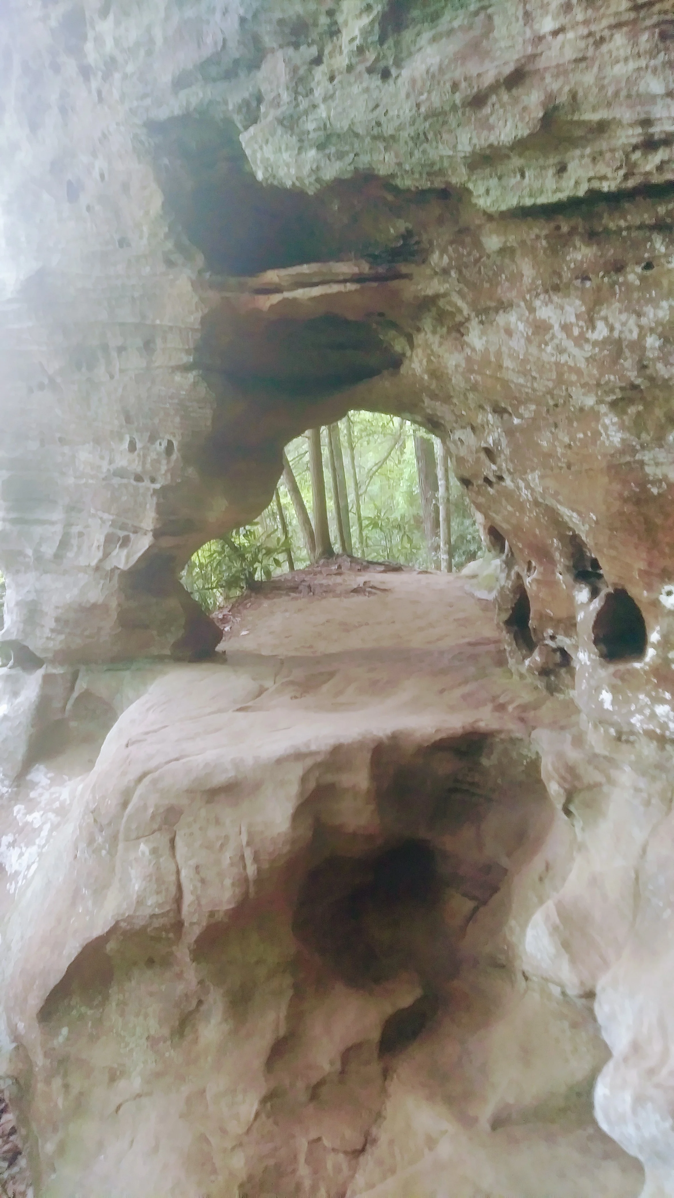 Hidden Arch at Red River Gorge