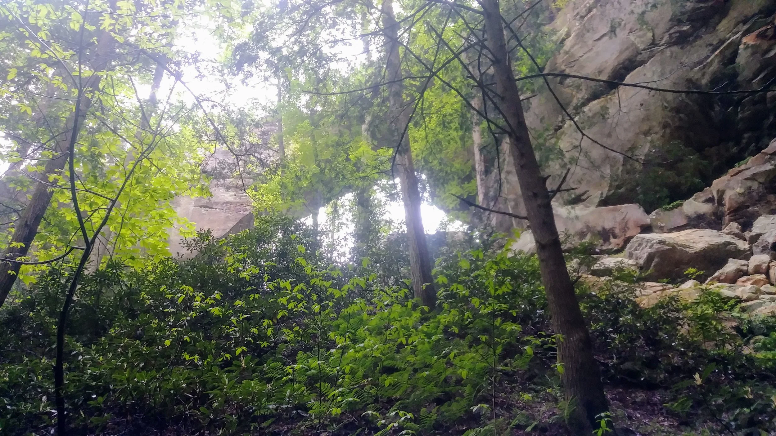 Gray's Arch on a rainy, steamy day in Red River Gorge