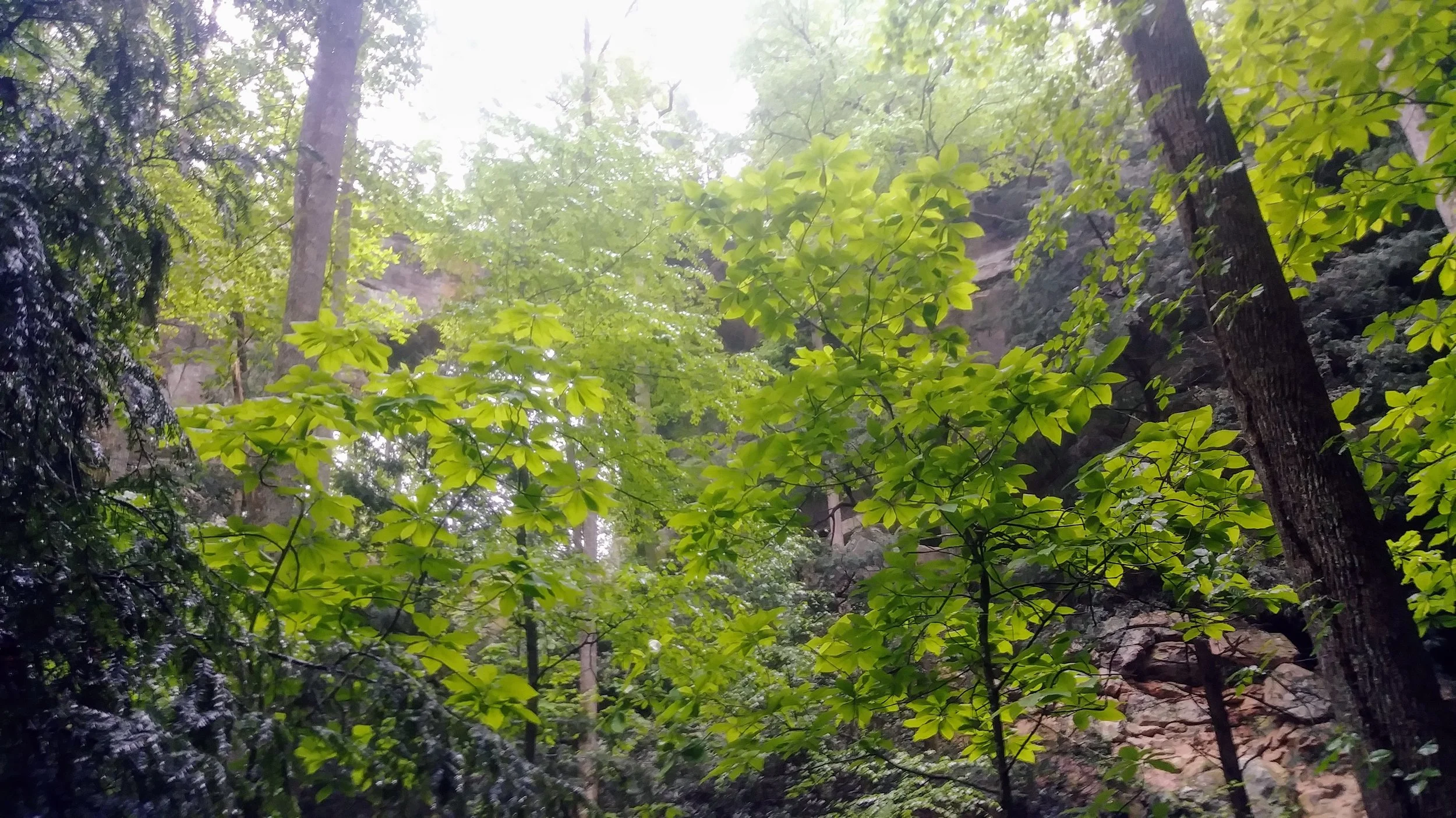 Hiking the Rough Trail 25K Course