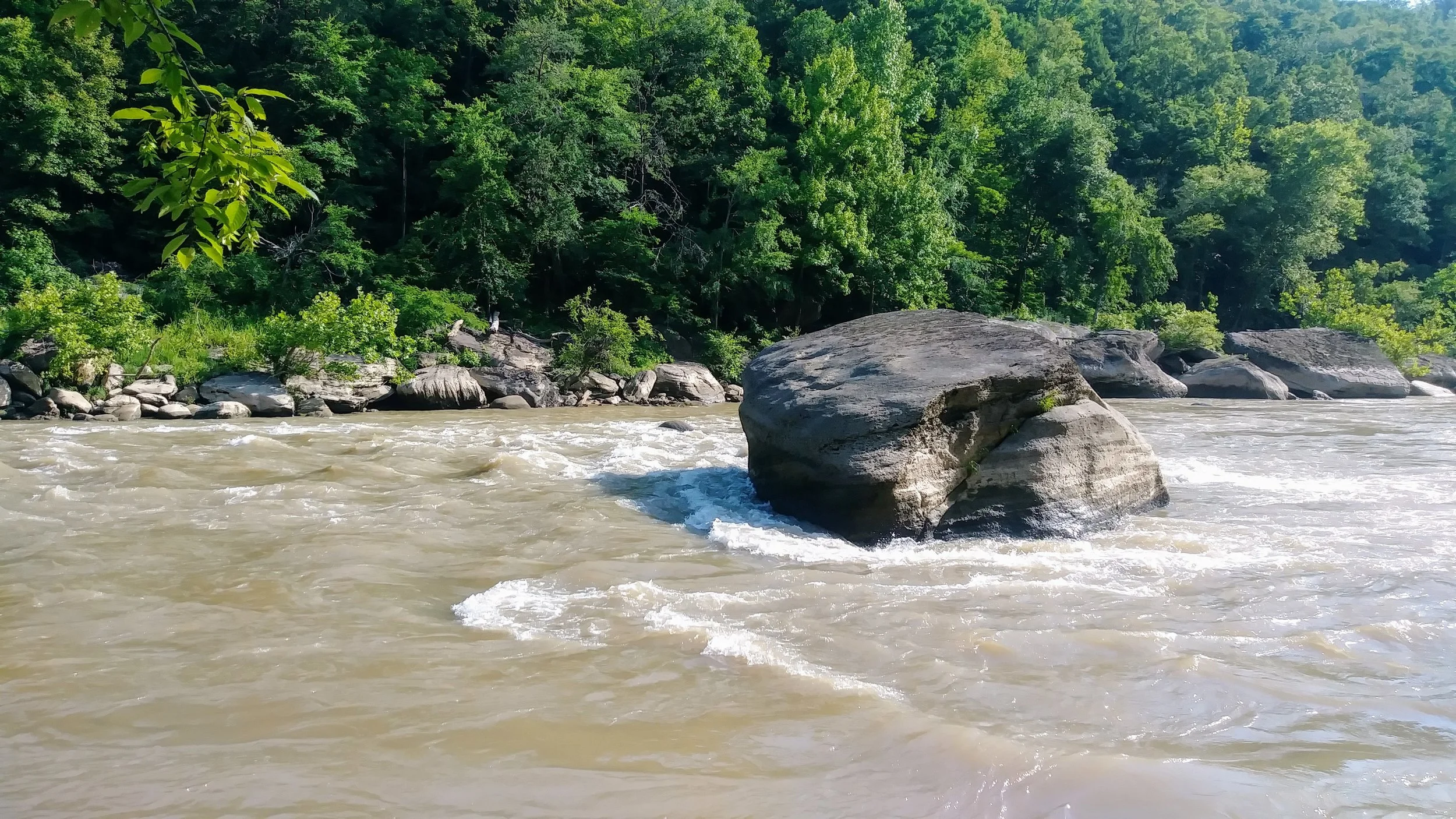 One of many boulders in Cumberland River along the Moonbow Trail/Sheltowee Trace