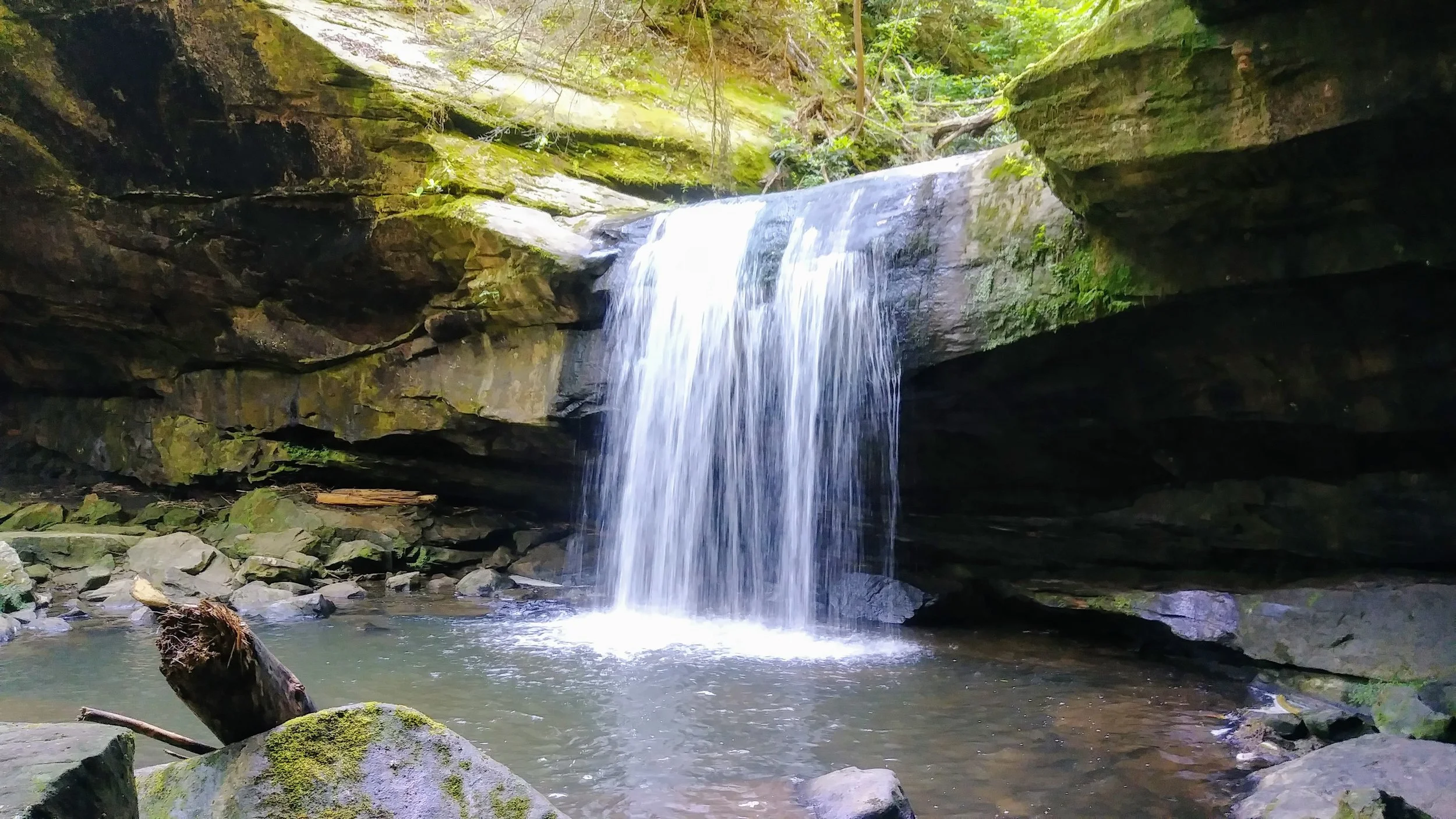 Dog Slaughter Falls just above Cumberland River