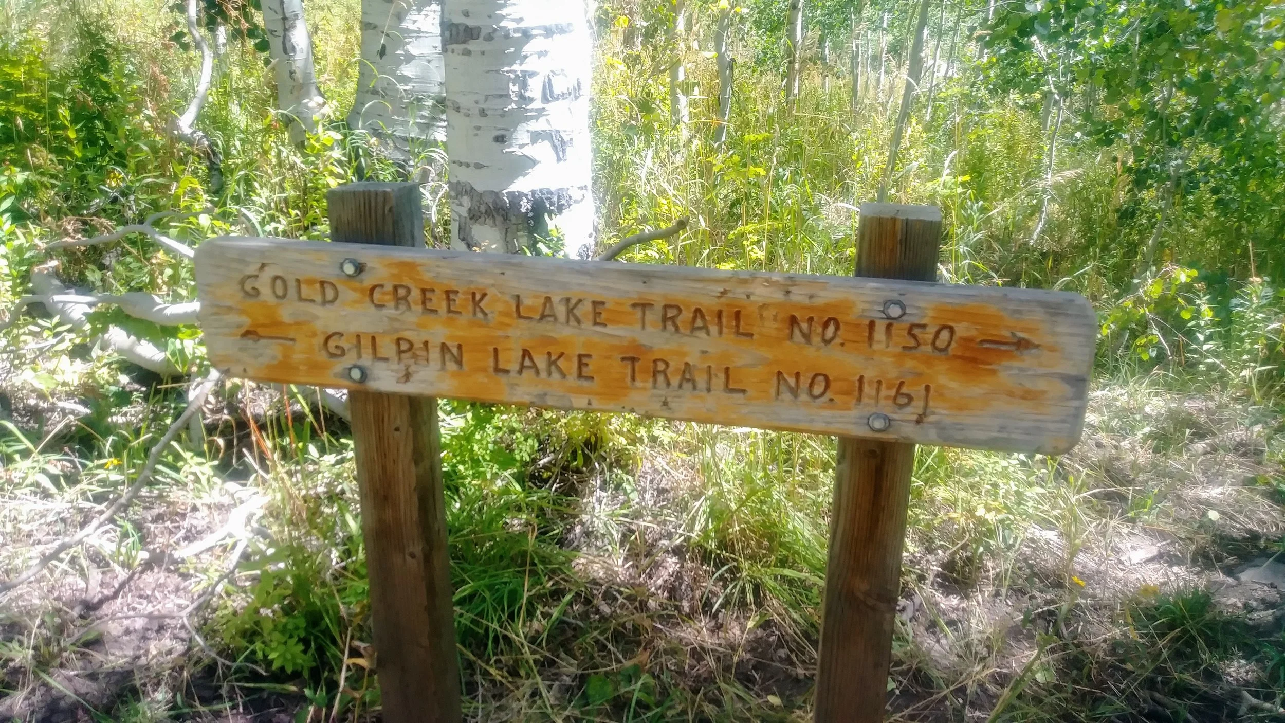 Trail sign at split of Gold Creek Lake Trail and Gilpin Lake Trail