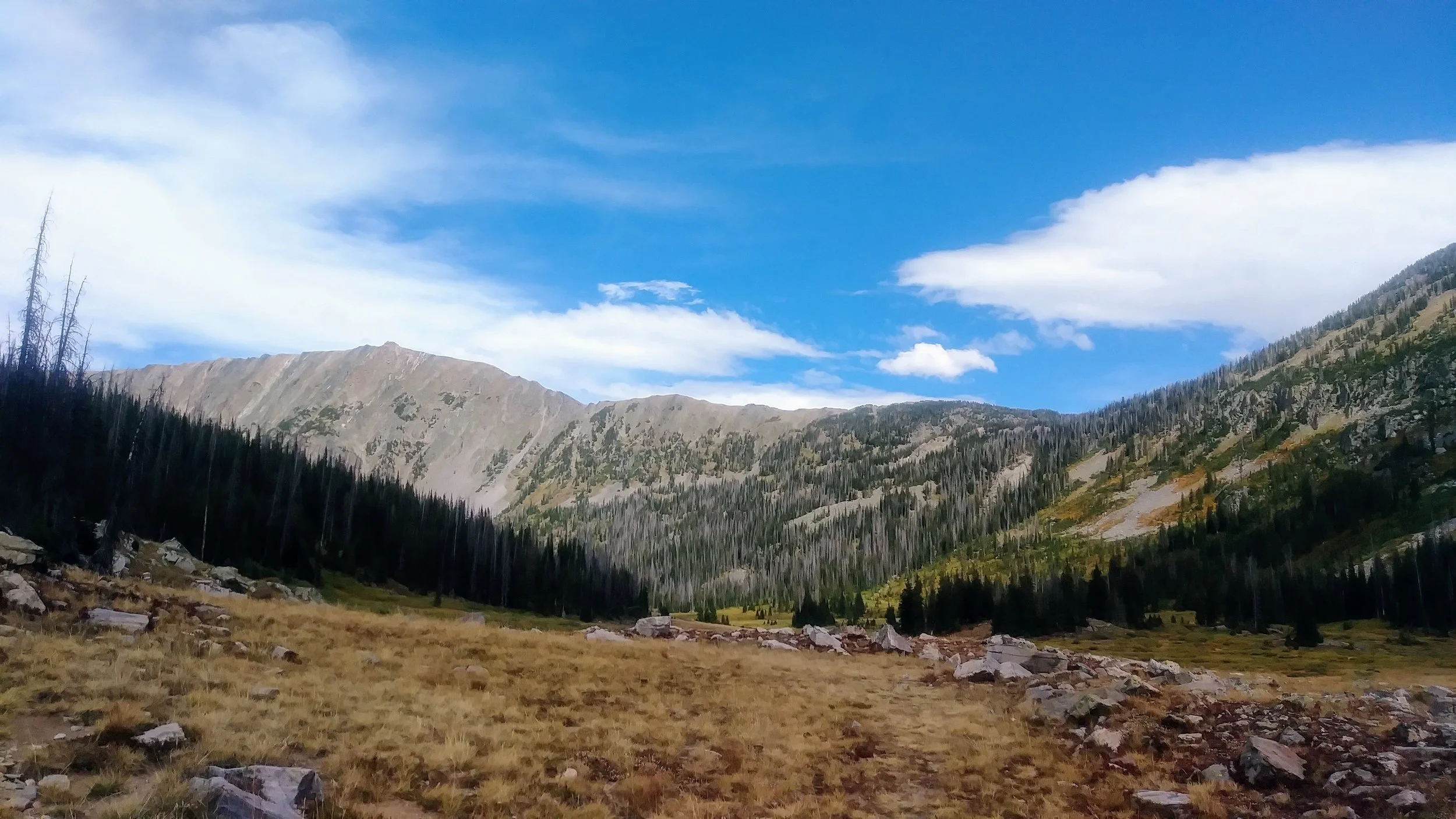 Meadow at eastern intersection of Gold Creek Lake Trail and Gilpin Lake Trail