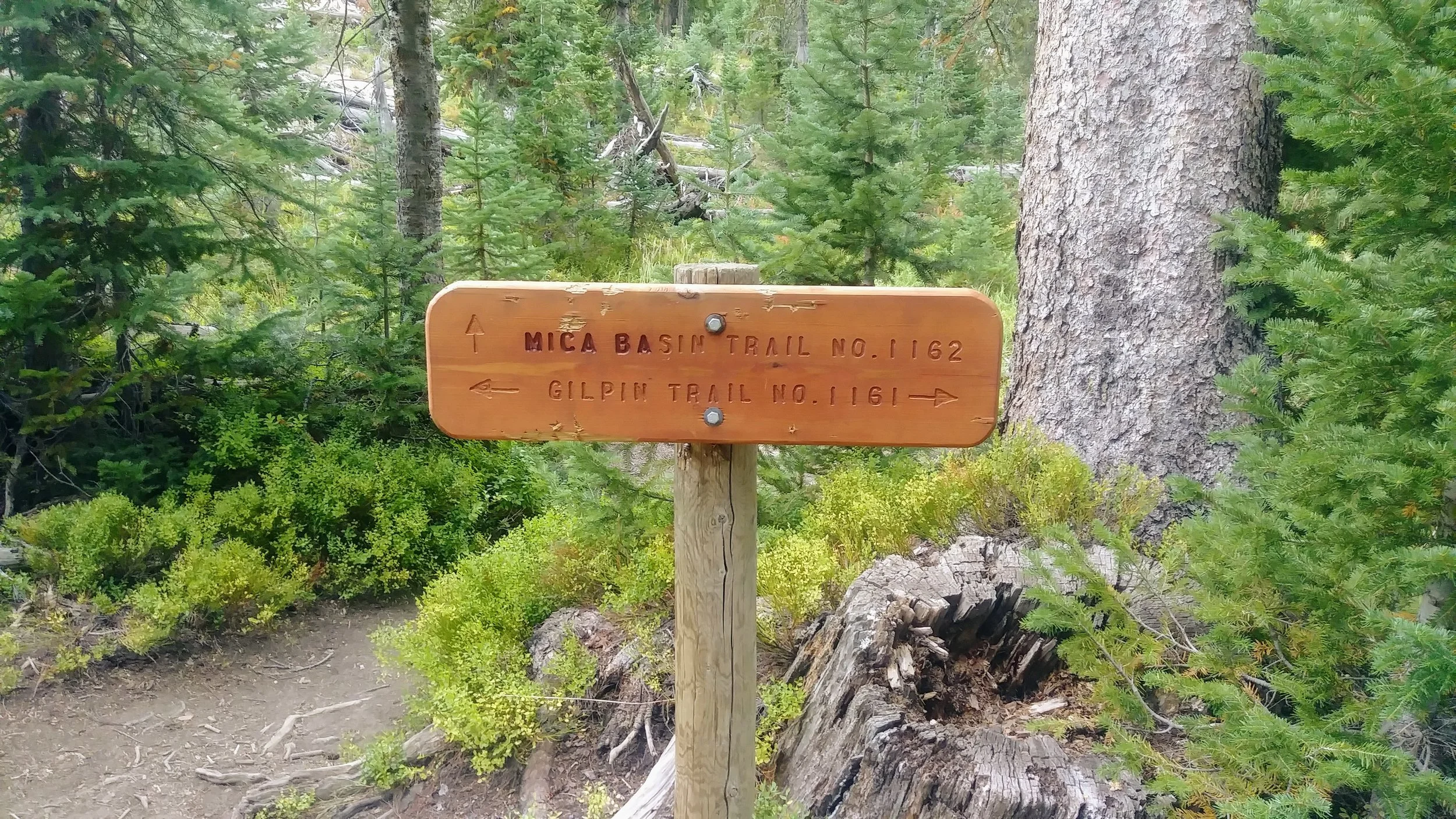 Trail sign at intersection of Gilpin Lake Trail and Mica Basin Trail