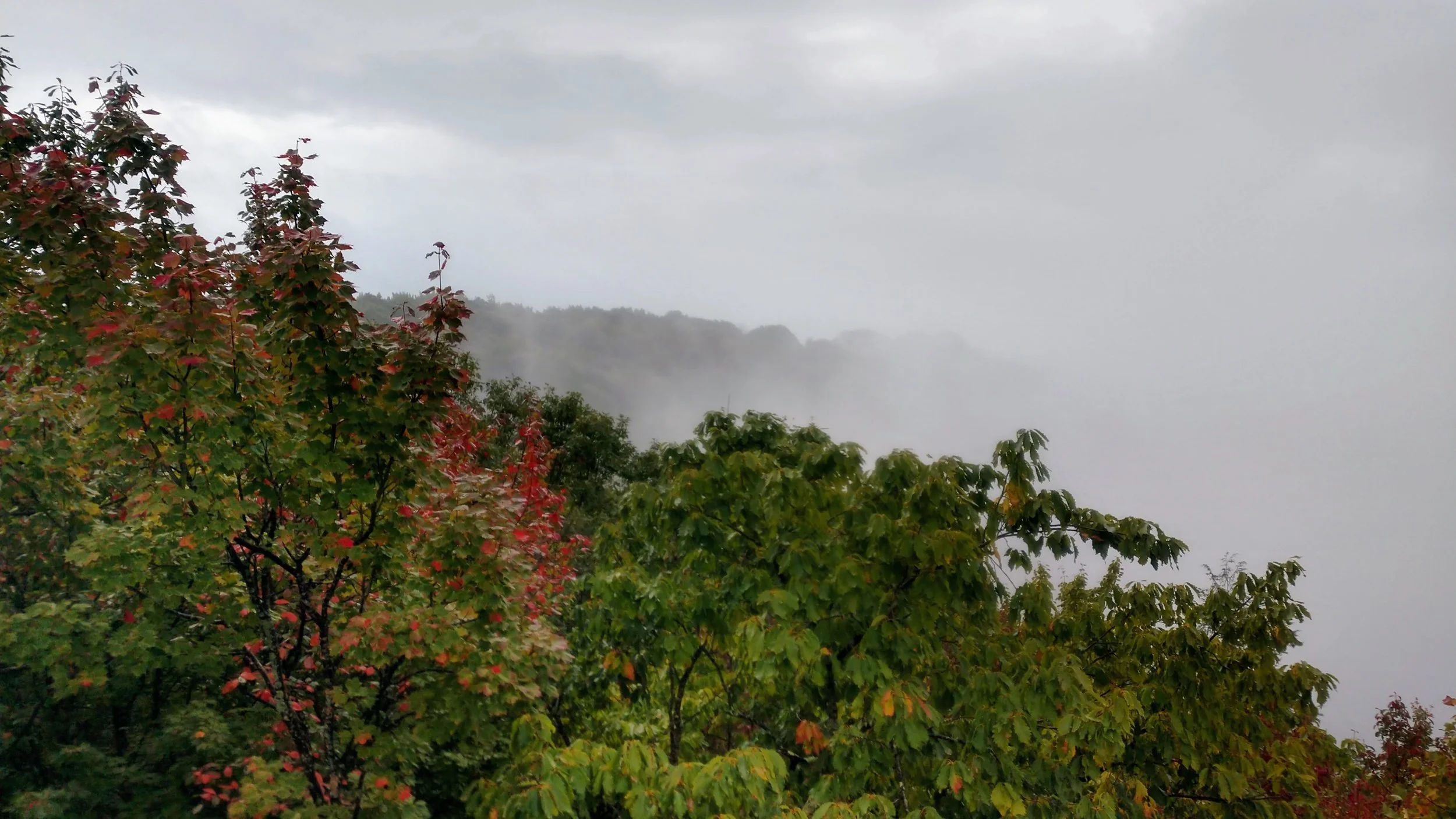 Afternoon fog at High Knob above Norton, Virginia