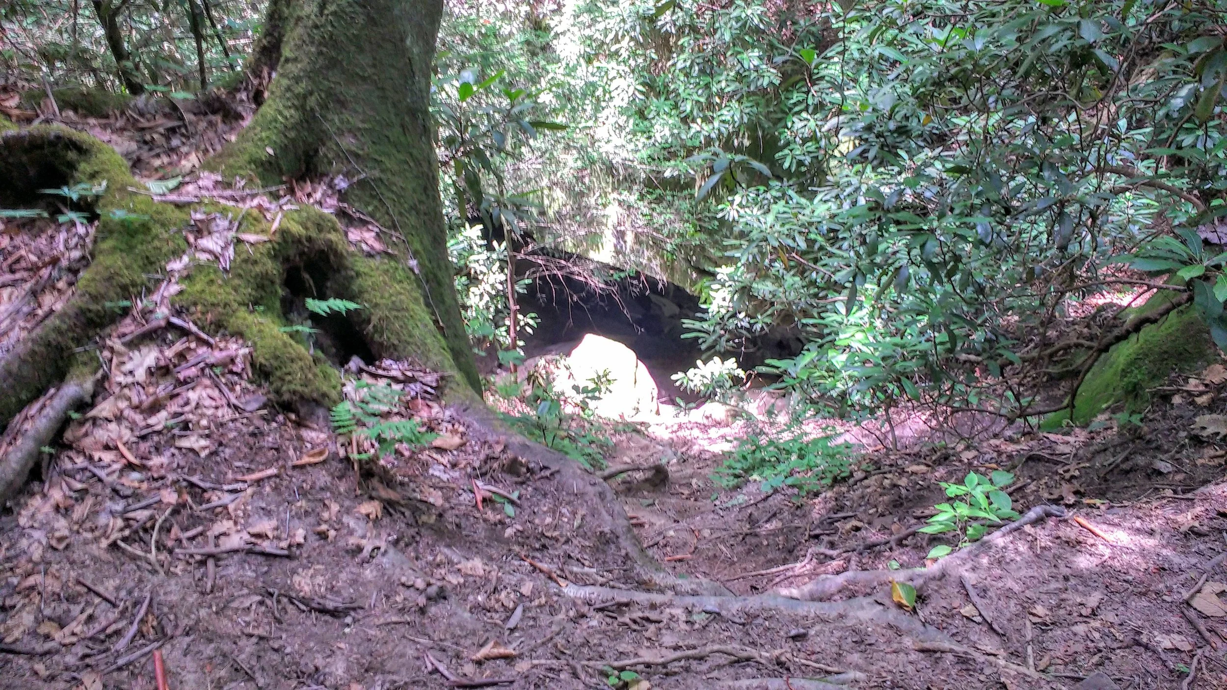 The view from behind Whittleton Arch