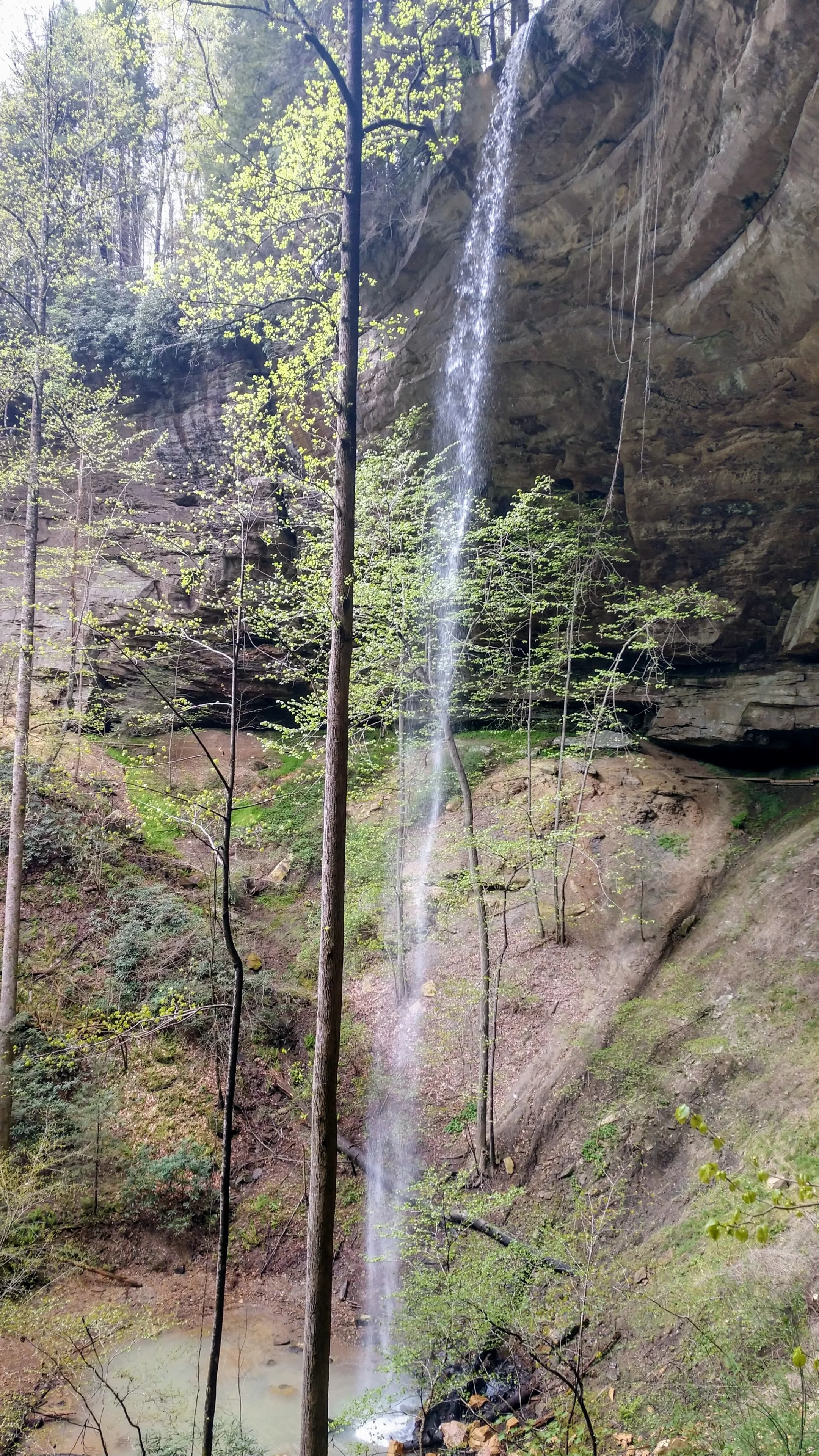 Torrent Falls — Kentucky Hiker
