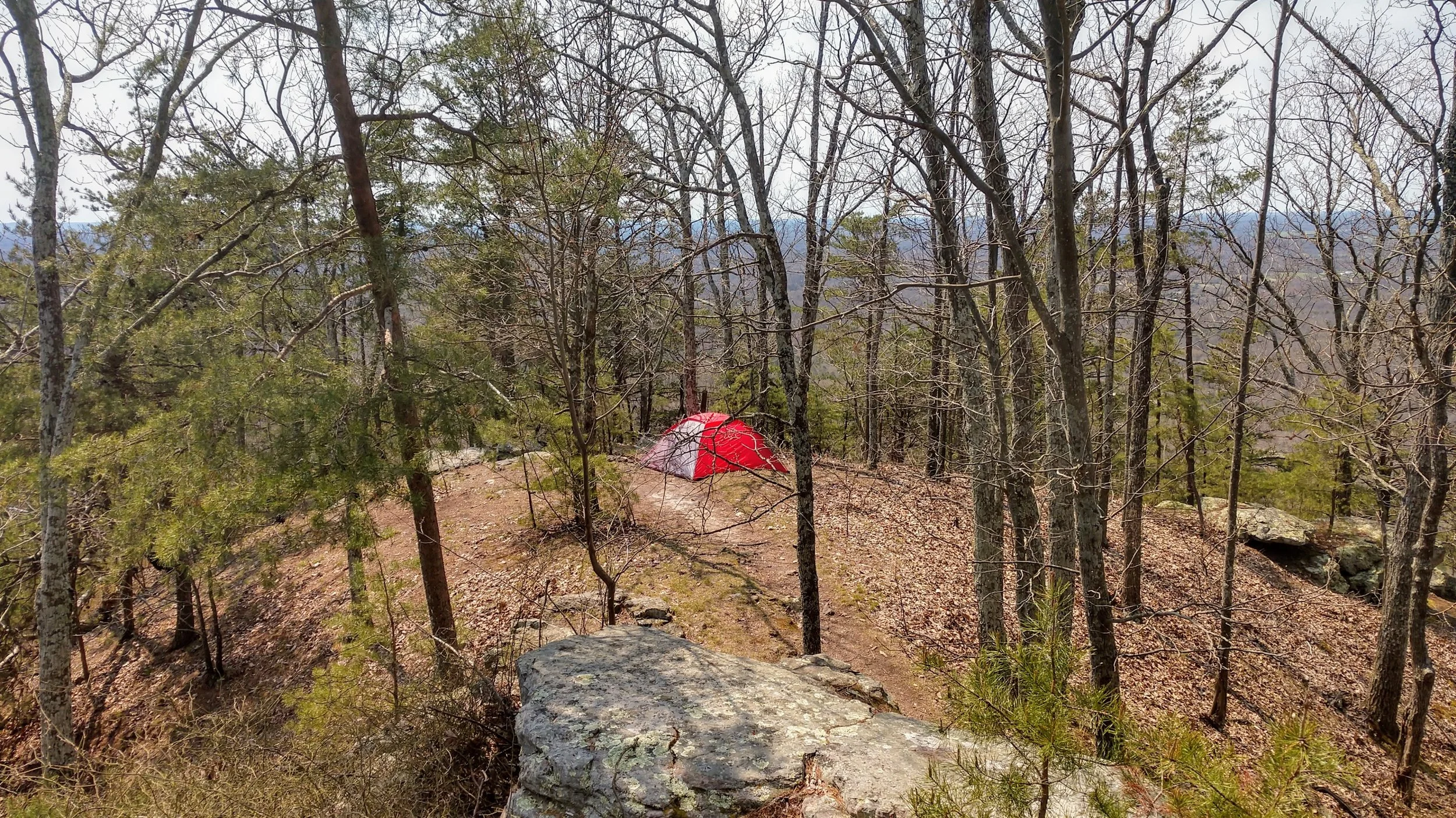 Pilot Knob Daniel Boone's Overlook — Kentucky Hiker