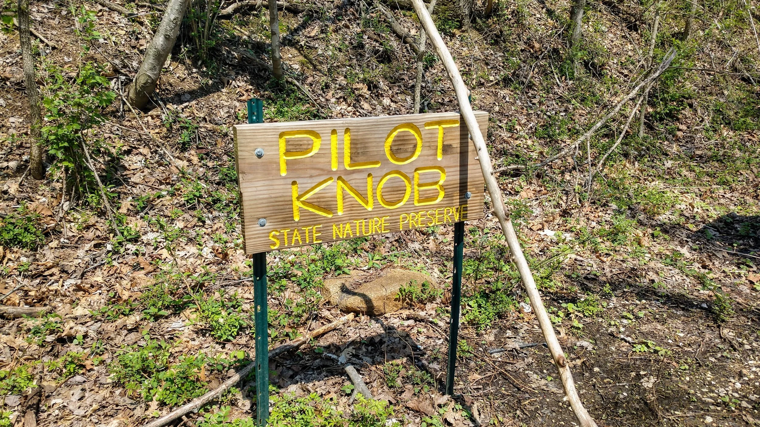 Pilot Knob Daniel Boone's Overlook — Kentucky Hiker