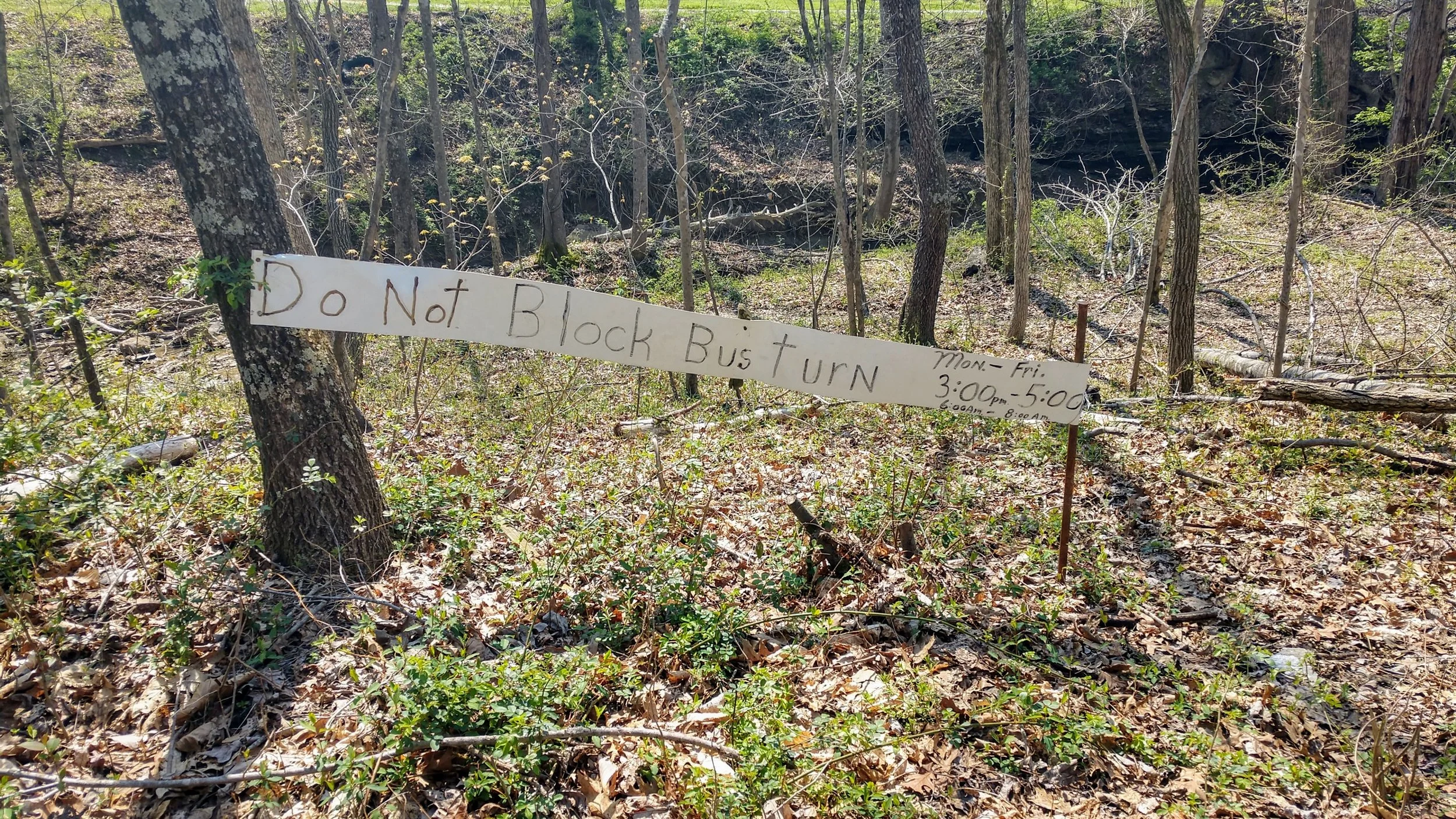 Pilot Knob Daniel Boone's Overlook — Kentucky Hiker