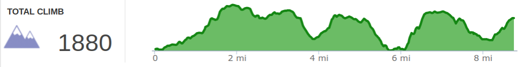 Elevation Profile of Rough Trail and Rush Ridge Point to Point Hike.png