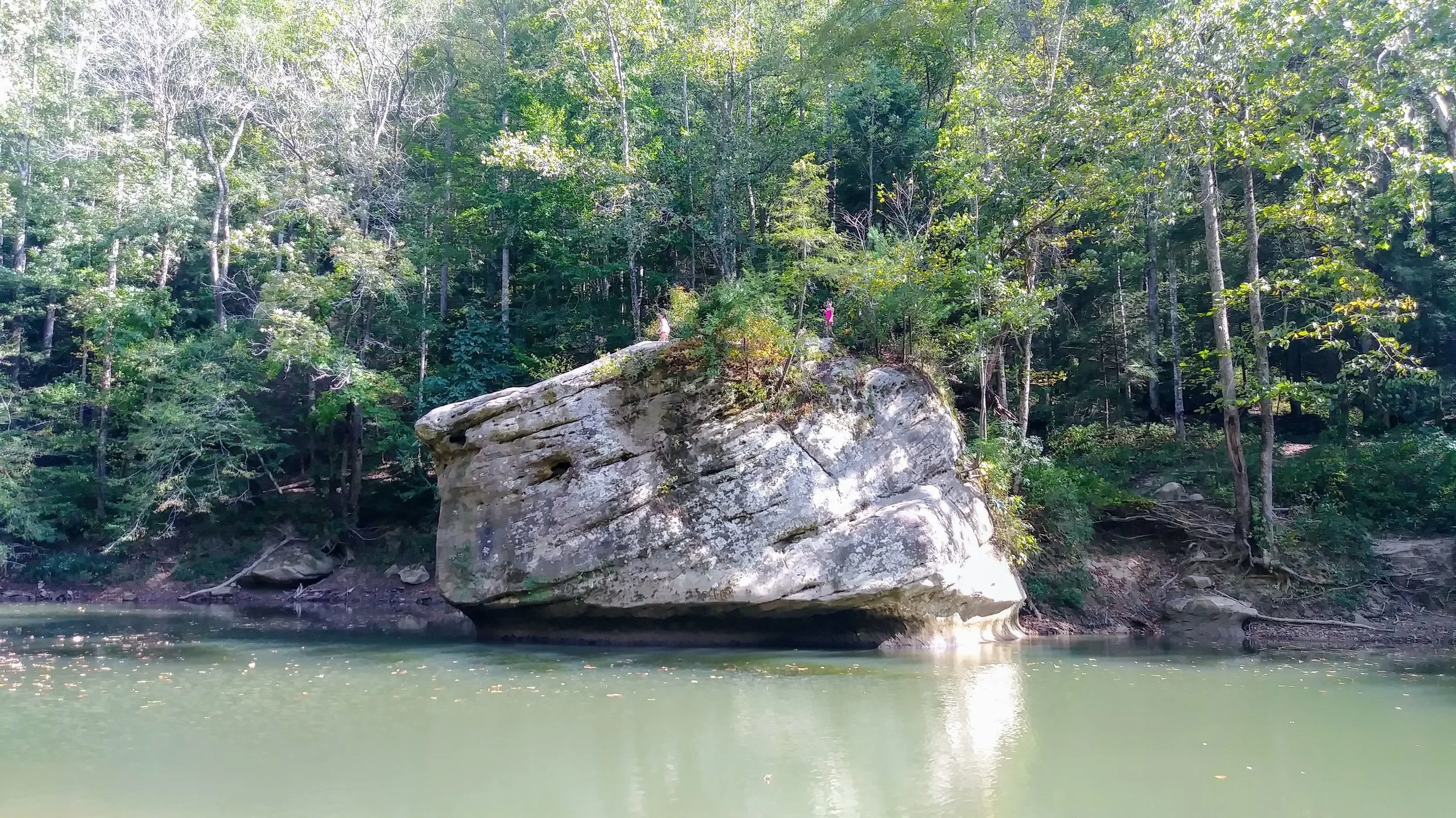 Sheltowee Connector Trail, Jump Rock, and Footbridge