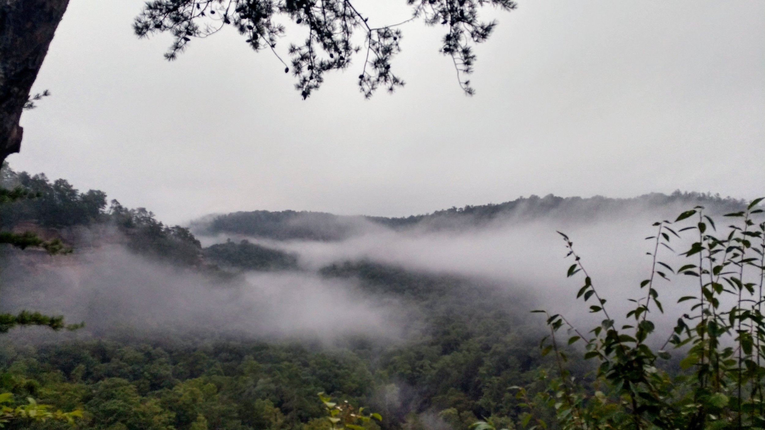 Sunrise at Swift Camp Creek Overlook.jpg