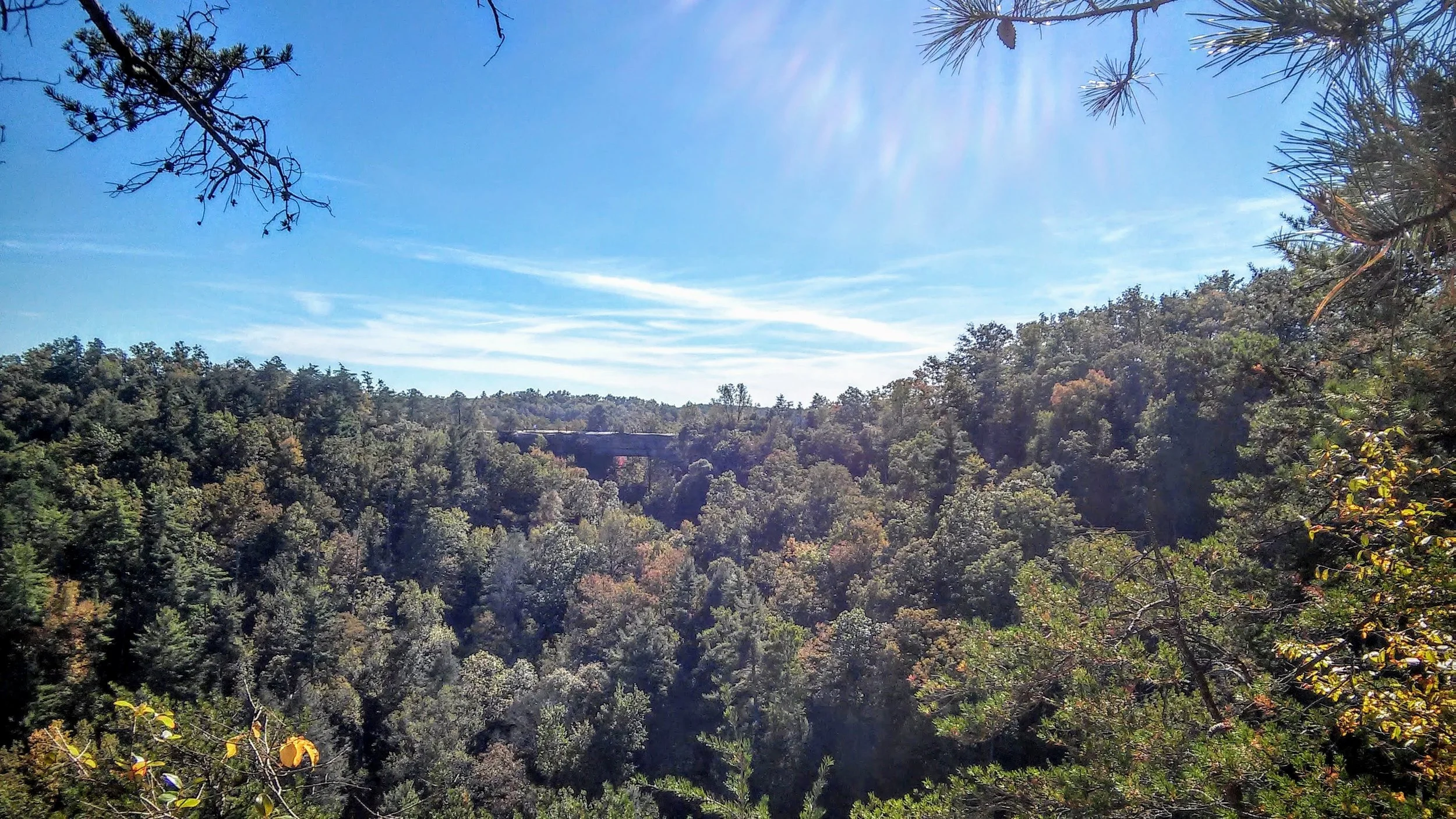 Looking Back at Natural Bridge.jpg