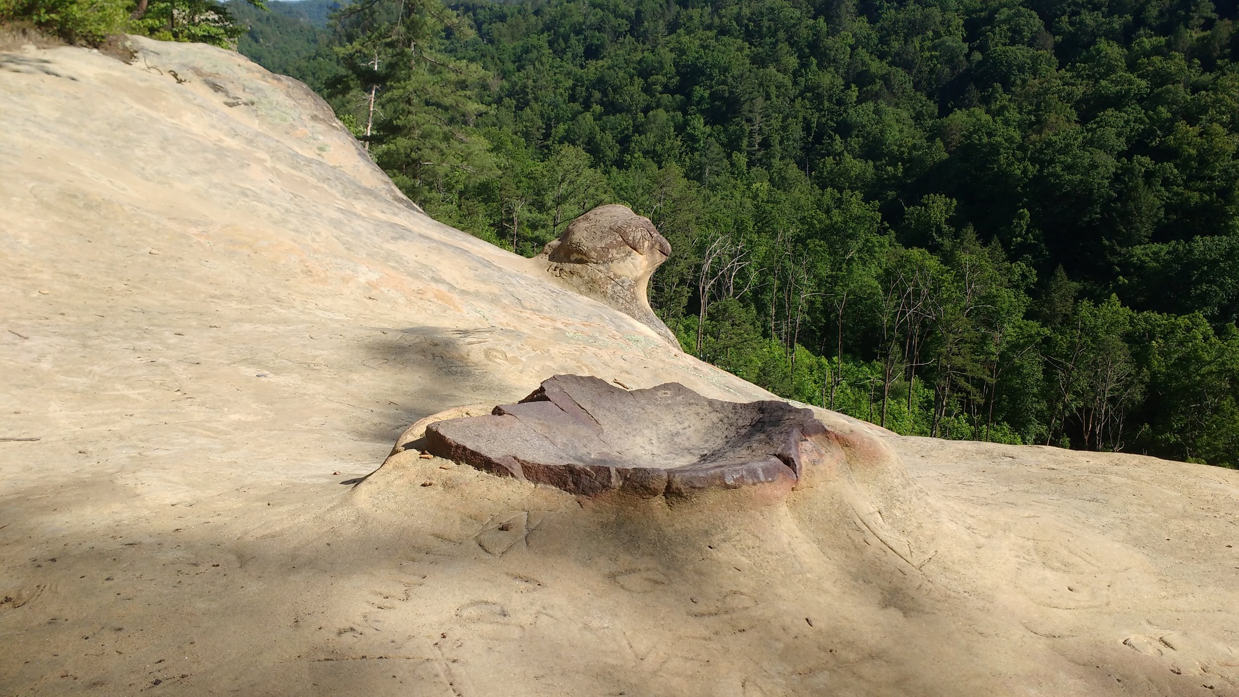 Frog's Head on Indian Staircase Loop.jpg