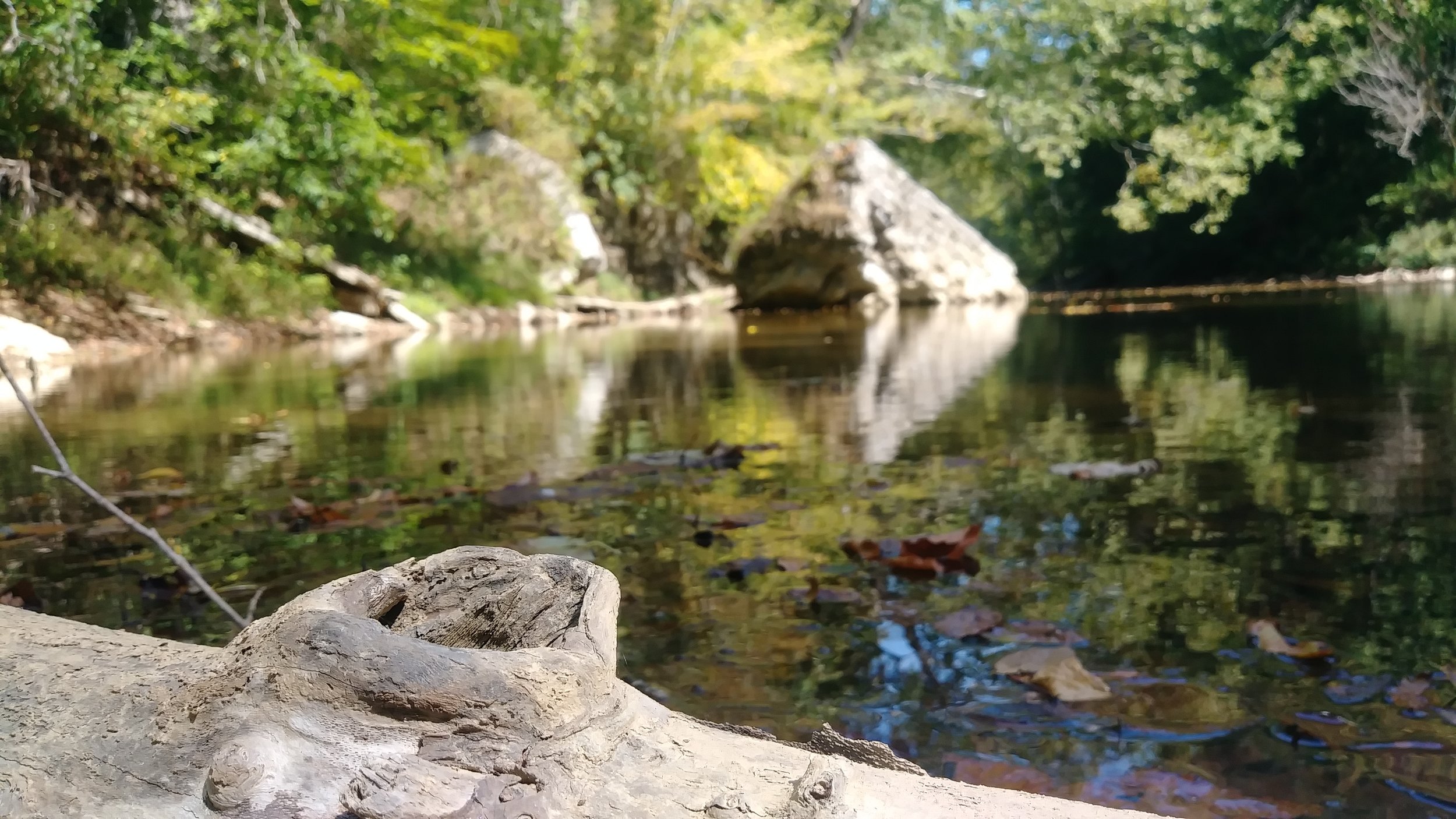 Red River Near Moonshiners Arch.jpg