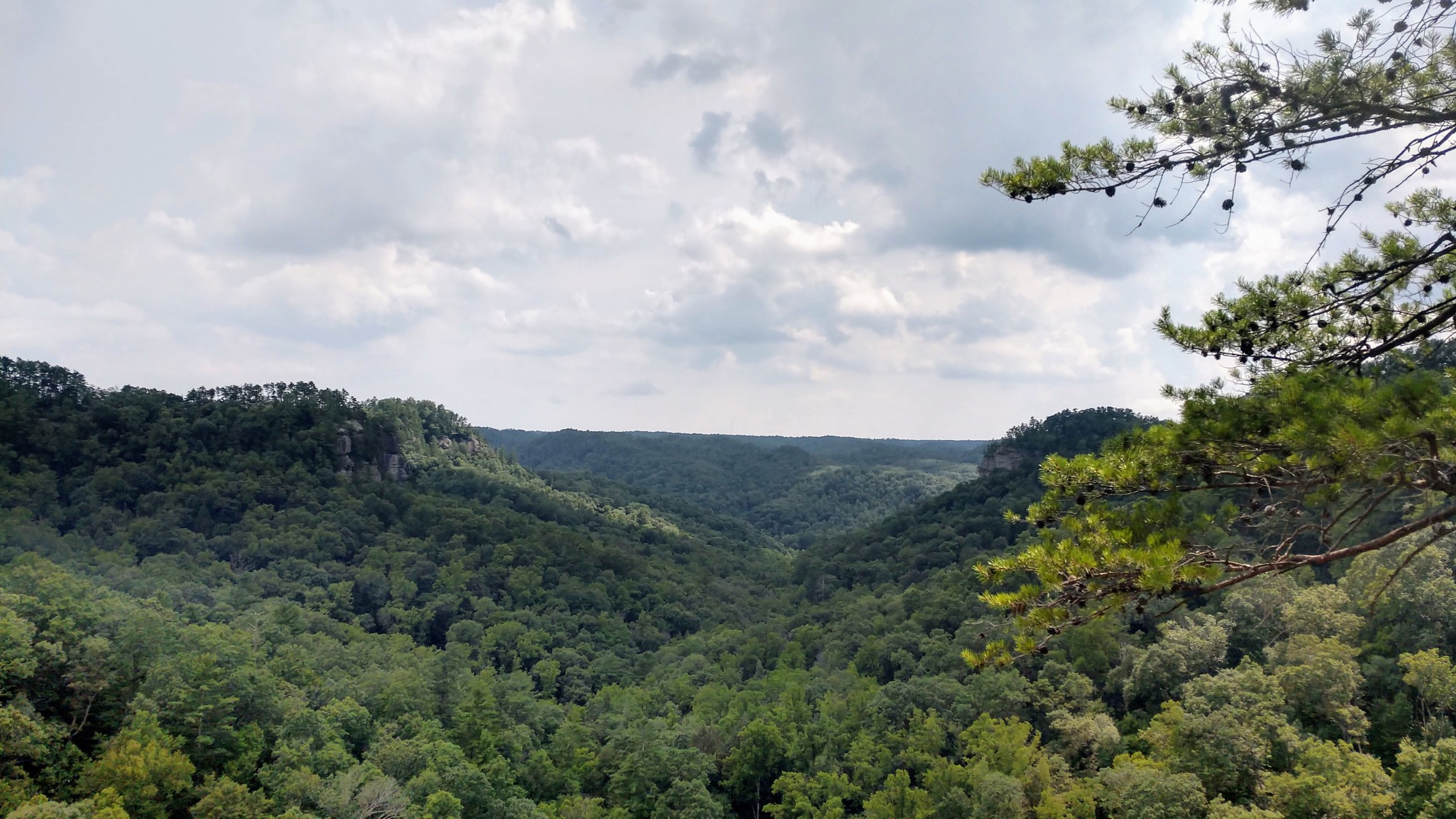 Overlook at Tarr Ridge #1.jpg