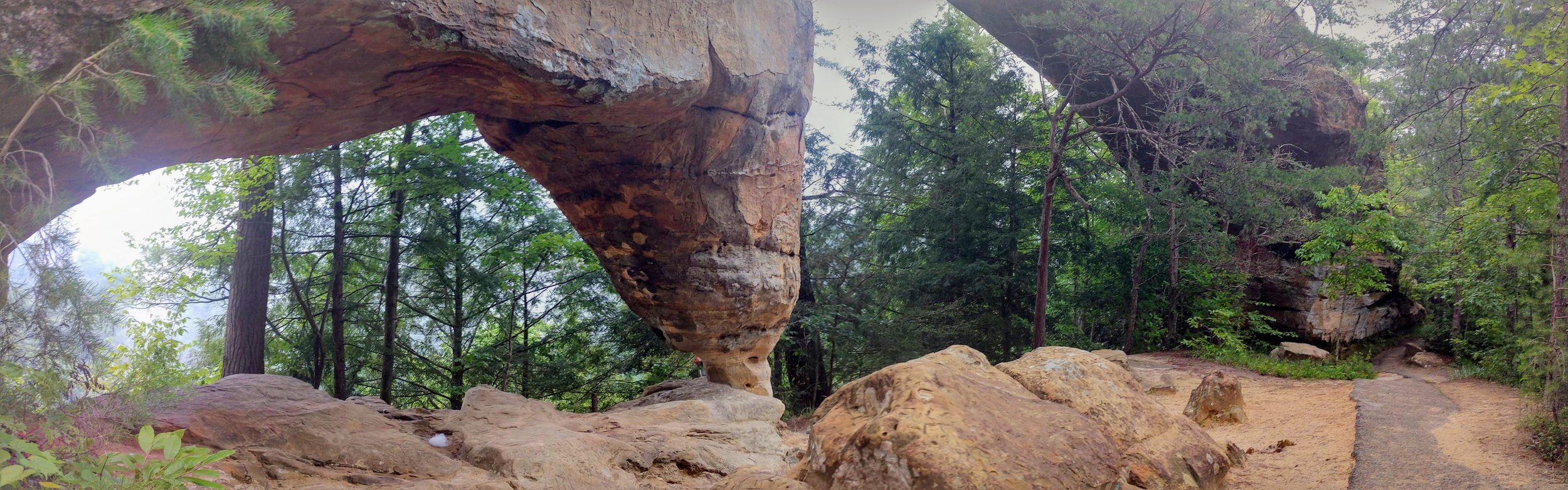 Sky Bridge.jpg