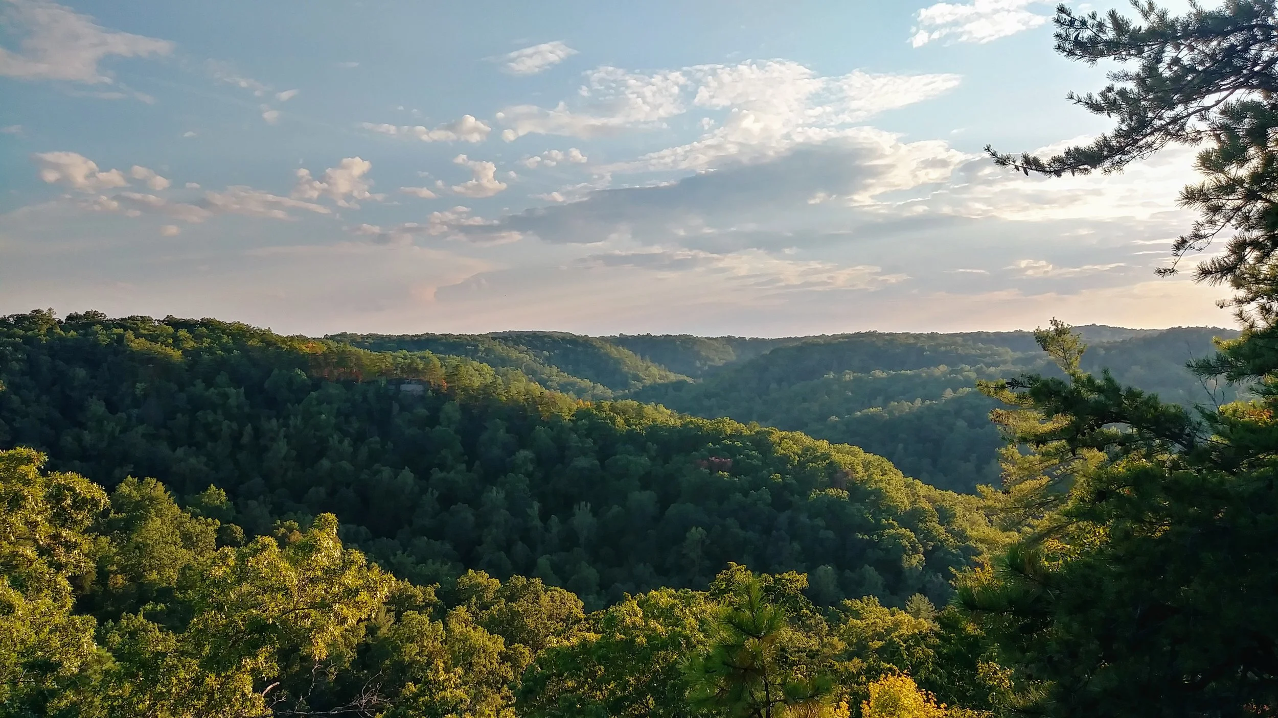The View from Atop Natural Bridge.jpg