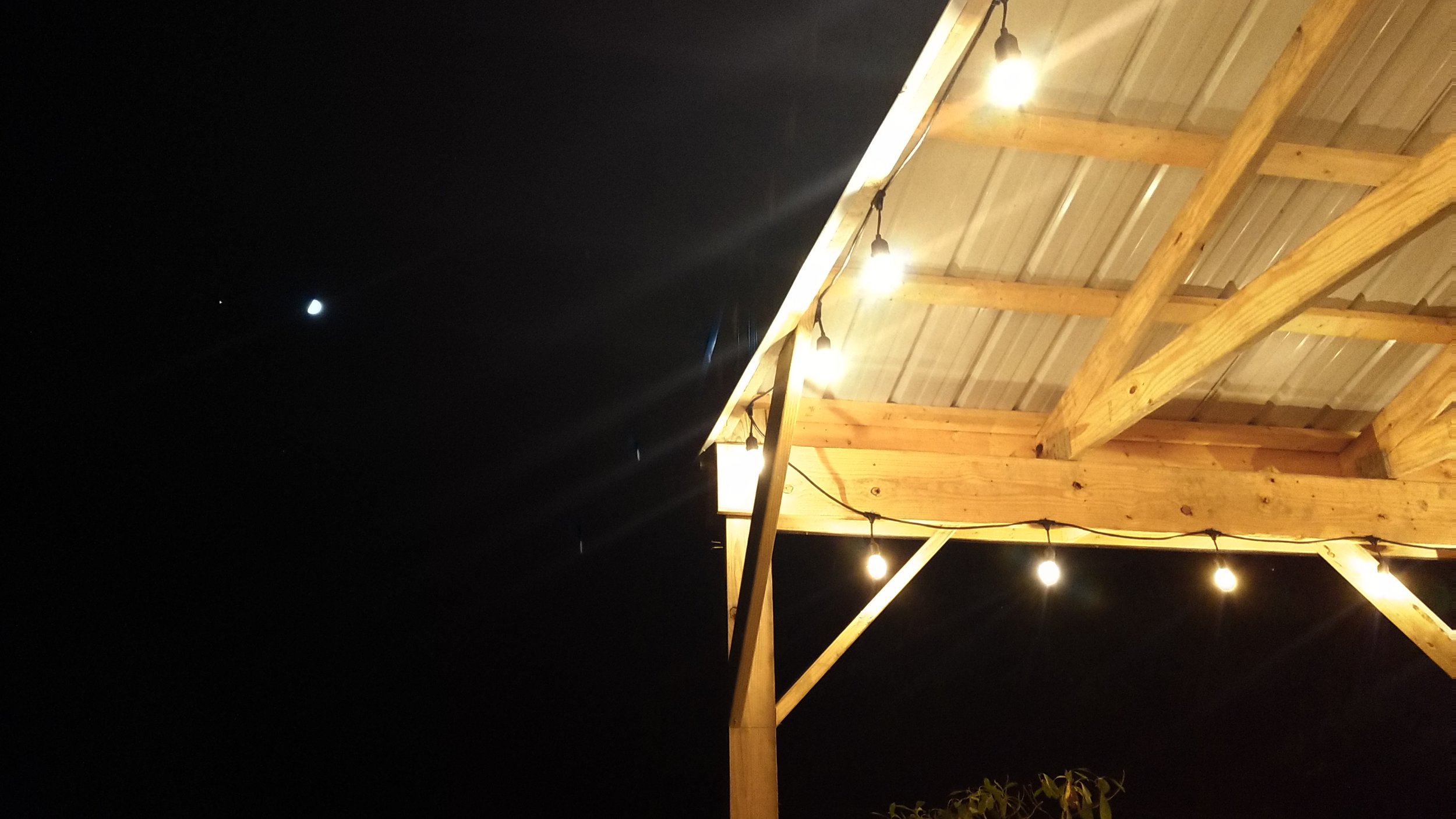 Hop's Fork Under the Stars.jpg