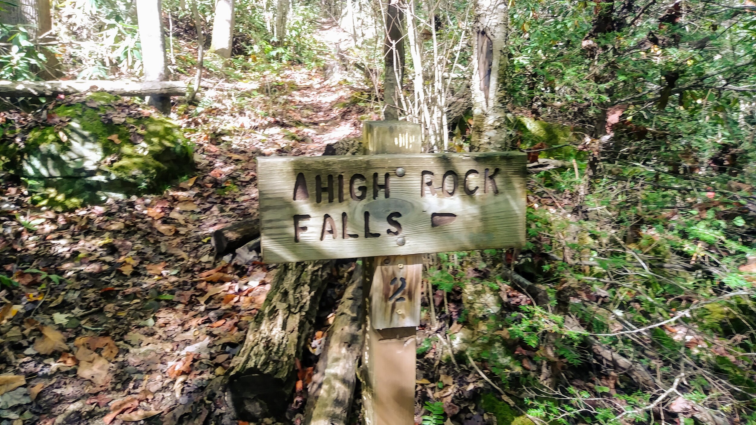 20191009_143106.jpg