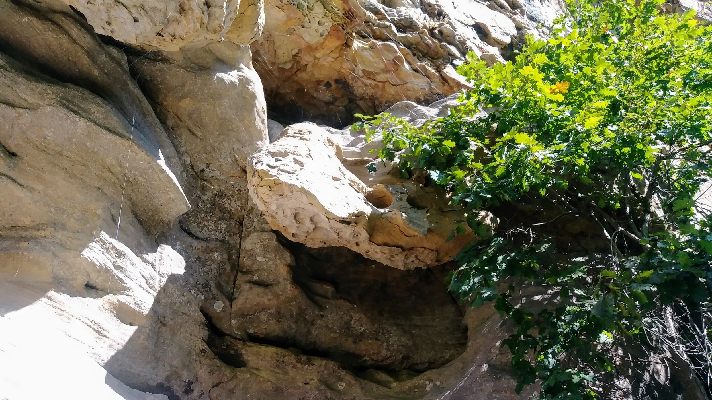 Pine Mountain Bad Branch Falls, High Rock, and Mars Rock — Kentucky Hiker