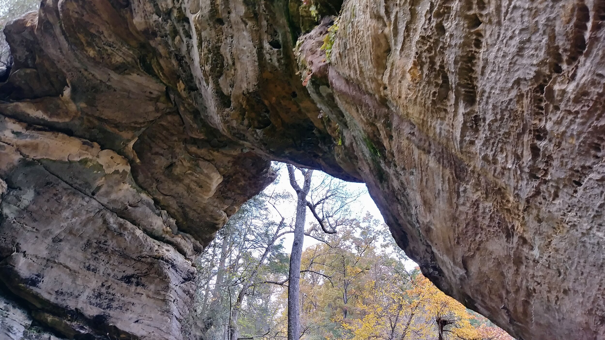 Gray's Arch Out and Back — Kentucky Hiker