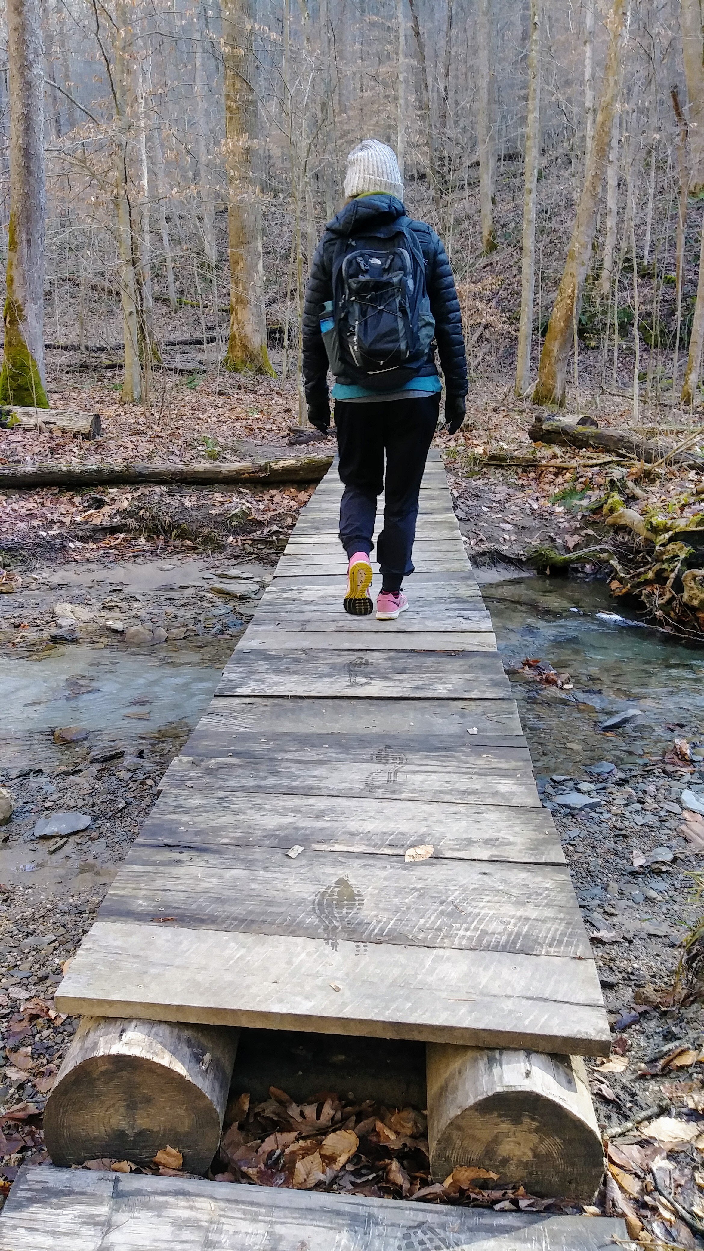 Anglin Falls - Footbridge - Kentucky Hiker Project.jpg