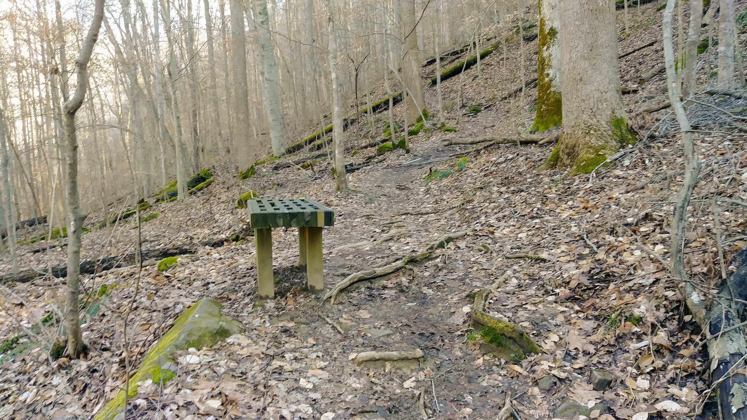 Anglin Falls - Bench - Kentucky Hiker Project.jpg