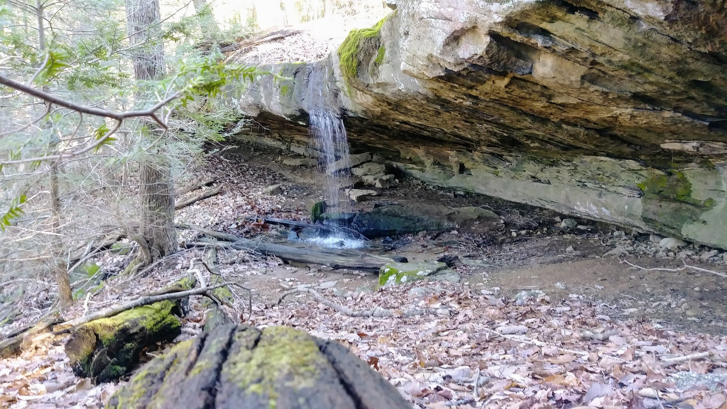 Anglin Falls - Side Falls #2 - Kentucky Hiker Project.jpg