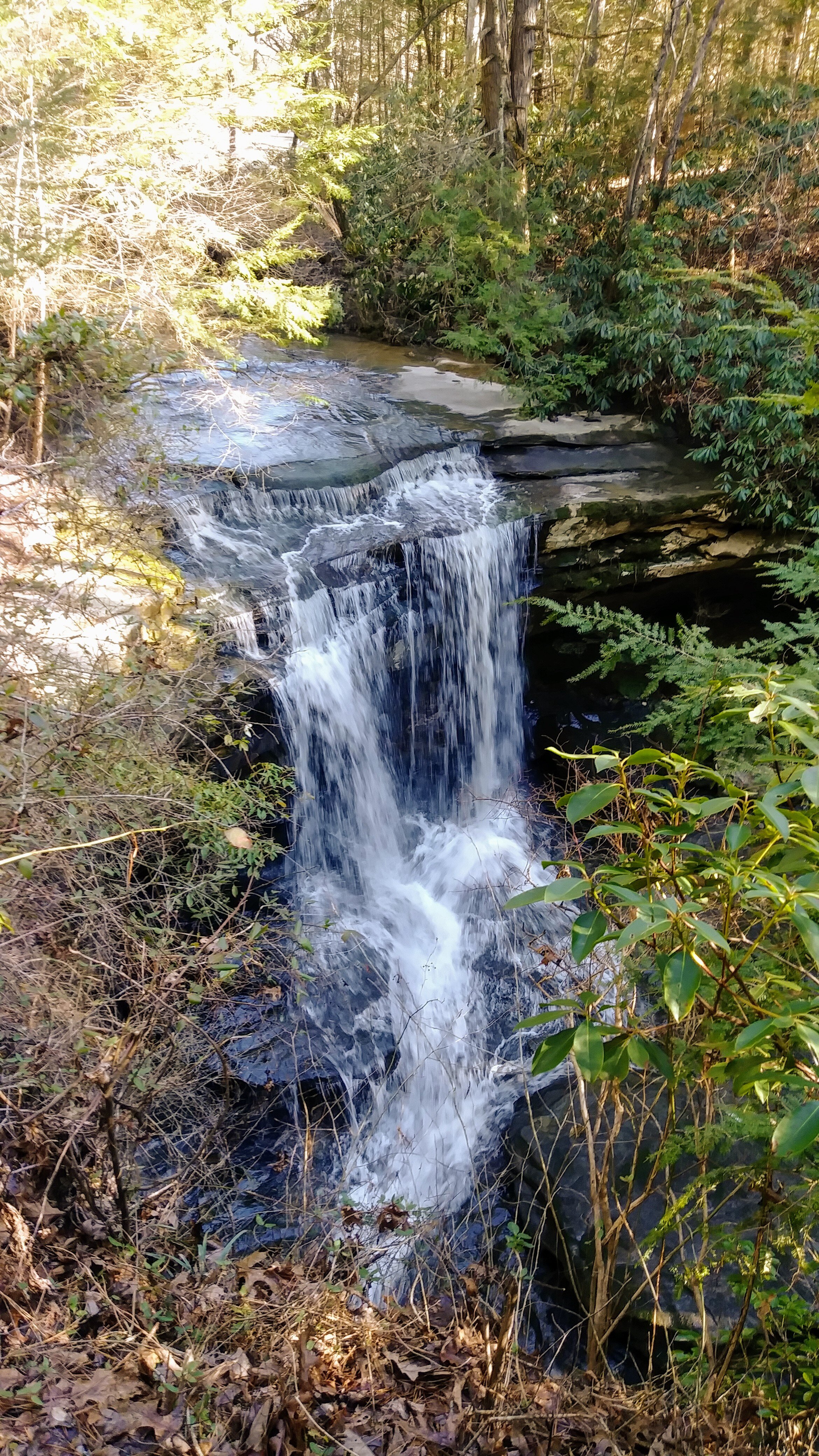 McCammon Branch Falls - View from Bench - Kentucky Hiker Project.jpg