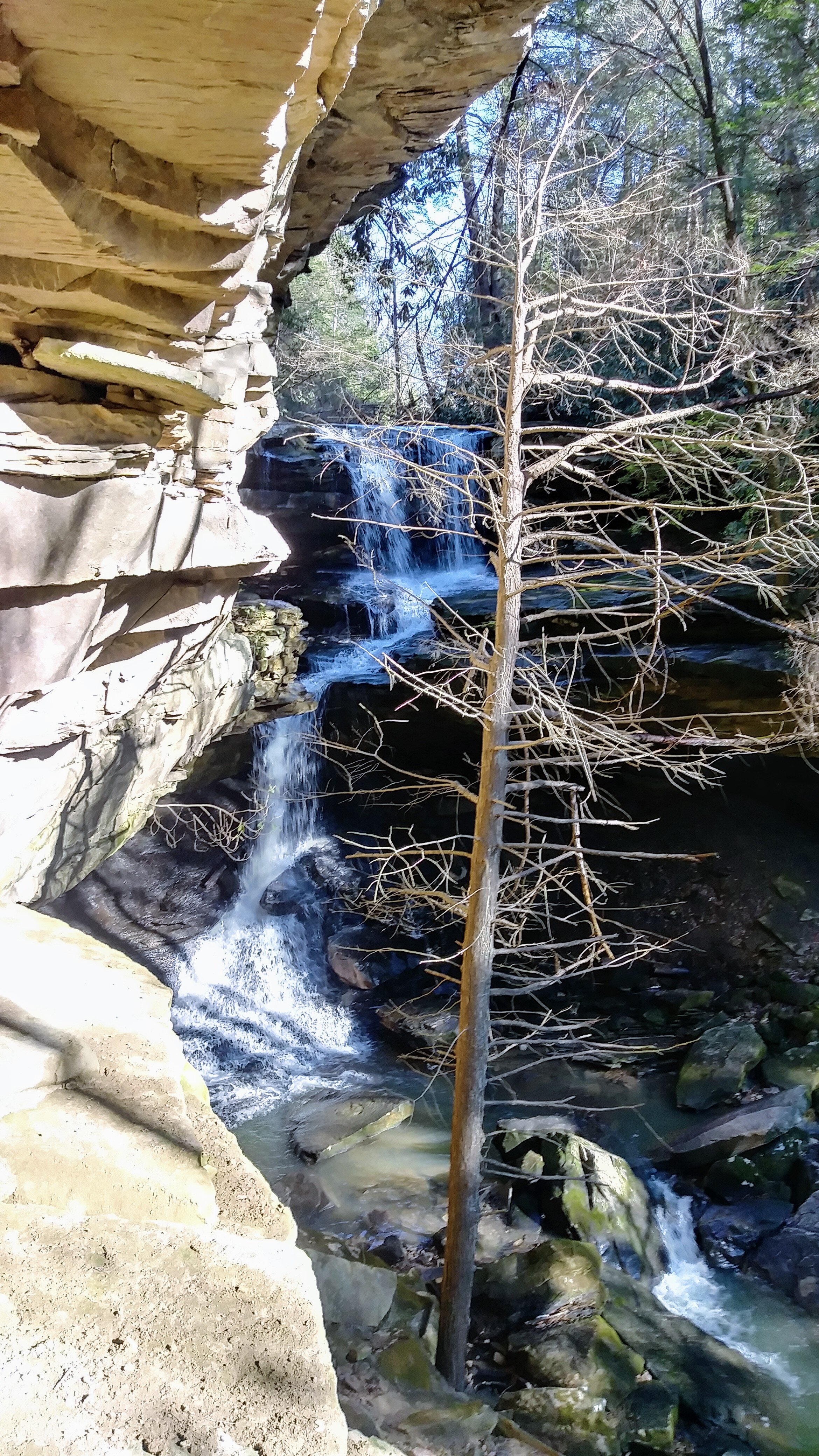 McCammon Branch Falls - Full View of Falls - Kentucky Hiker Project.jpg