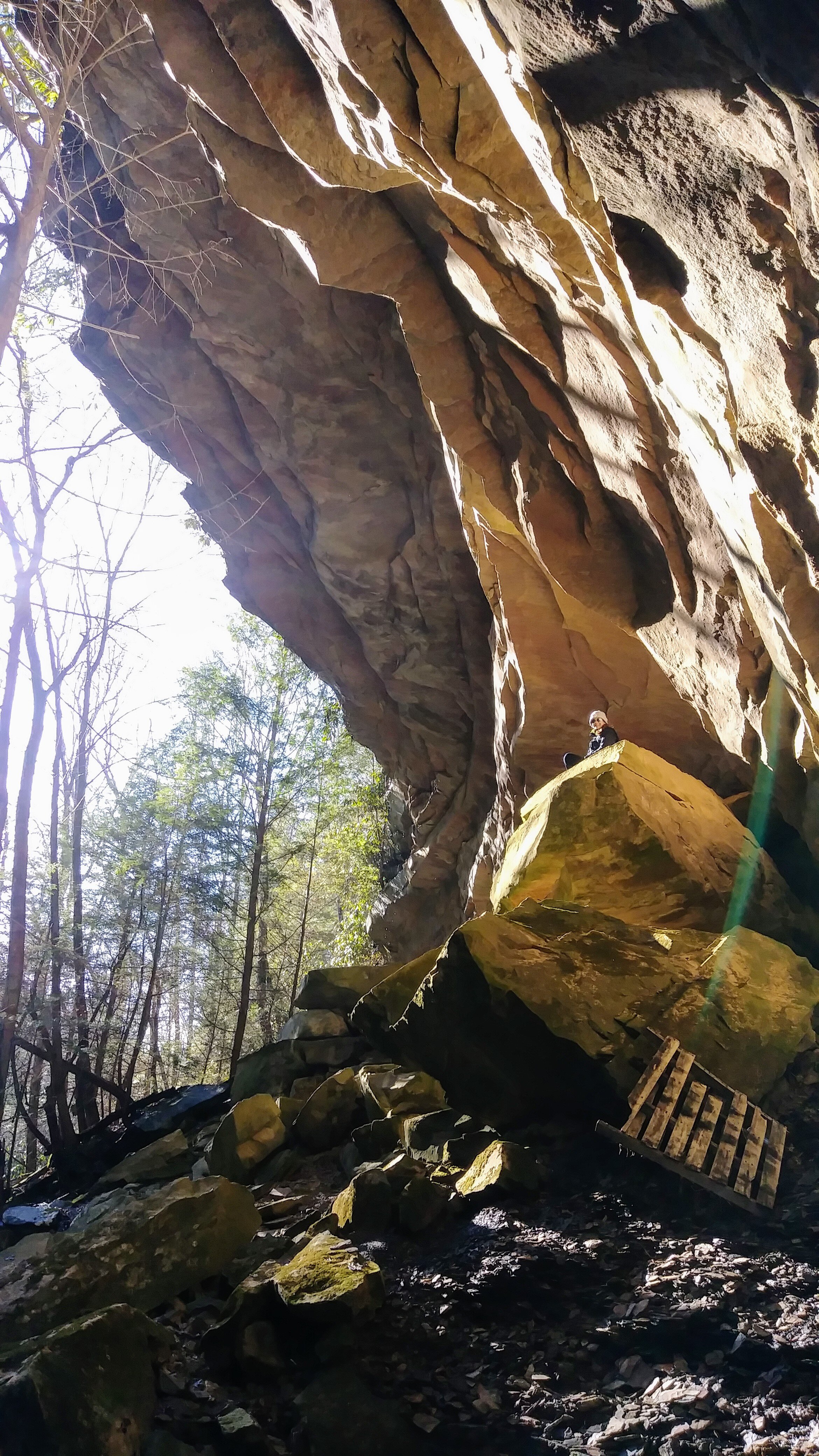 McCammon Branch Falls - View of Rock Shelter - Kentucky Hiker Project.jpg