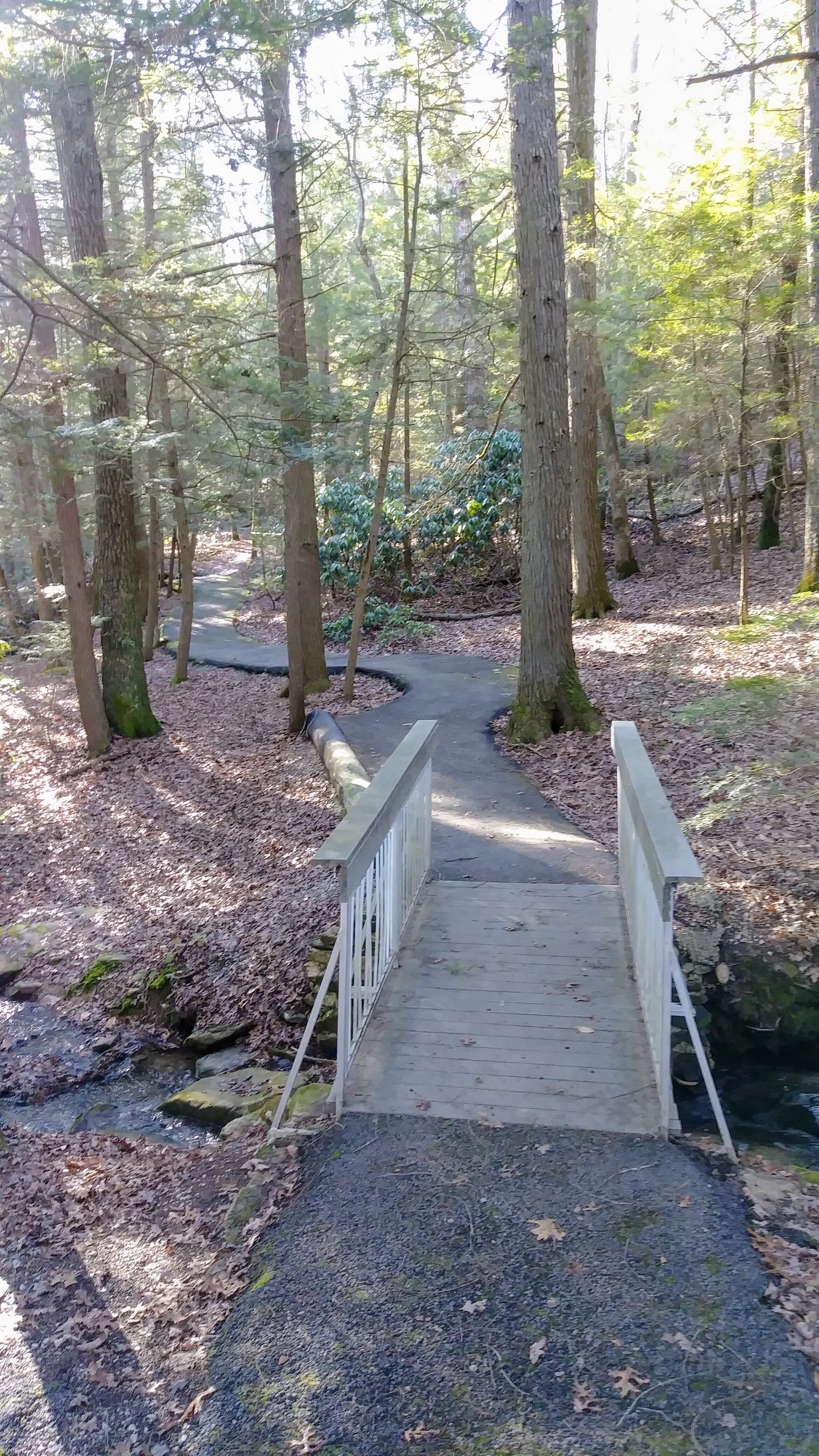 Flat Lick Falls - Paved Path and Walking Bridge - Kentucky Hiker Project.jpg