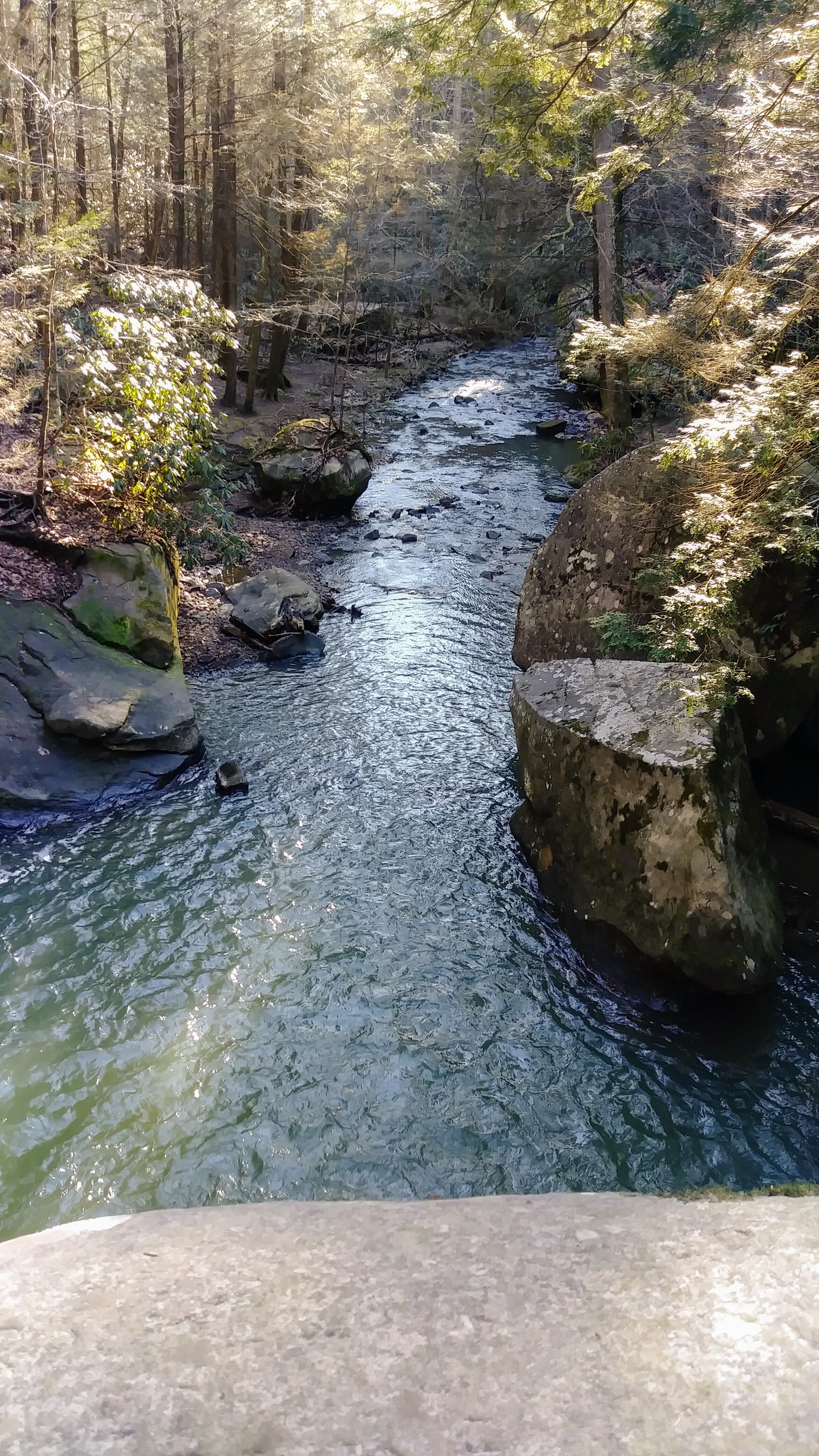 Flat Lick Falls - View from Top of Falls Looking Downstream - Kentucky Hiker Project.jpg