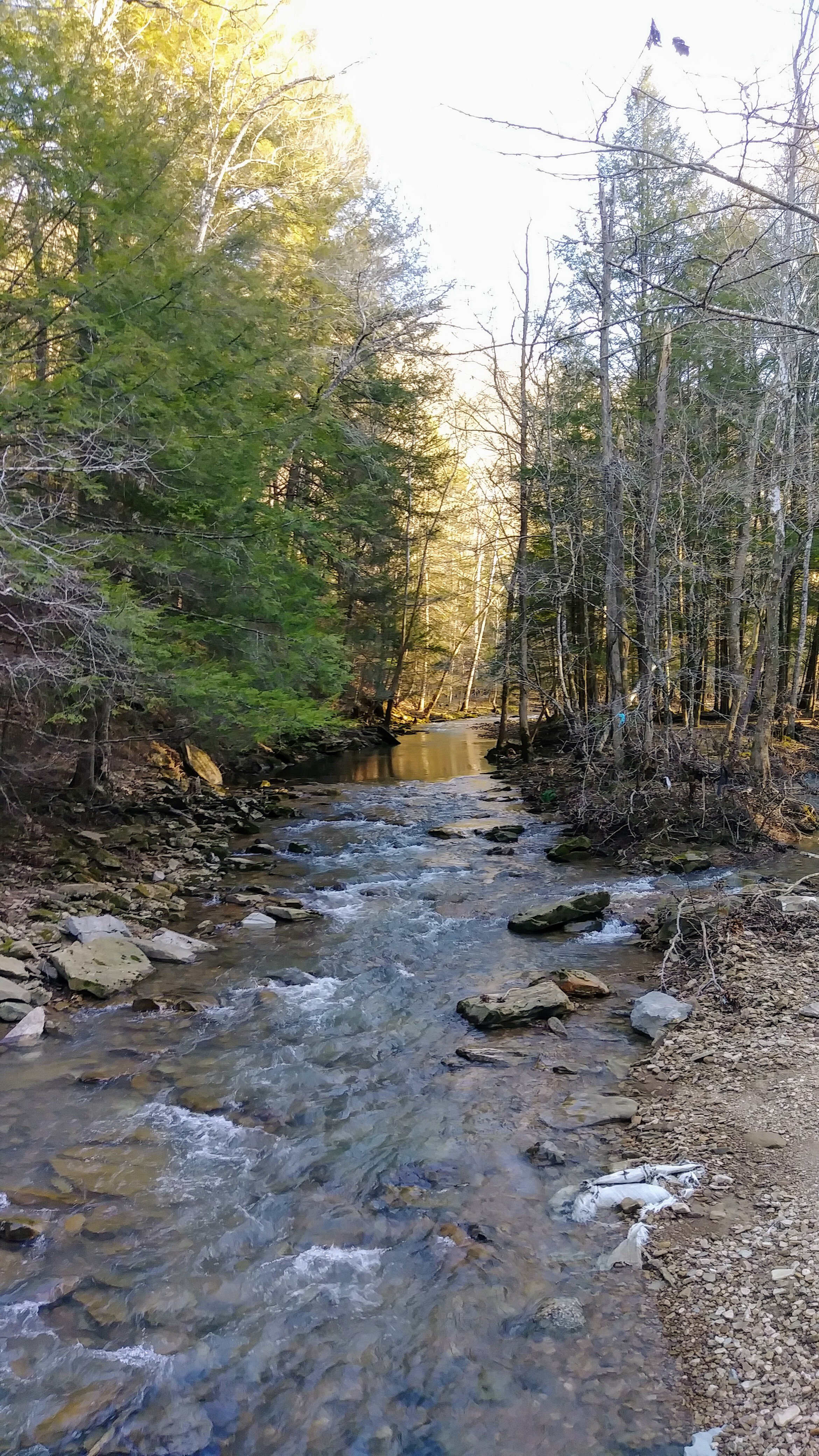 Turkey Foot Cascade - Quiet Stream - Kentucky Hiker Project.jpg