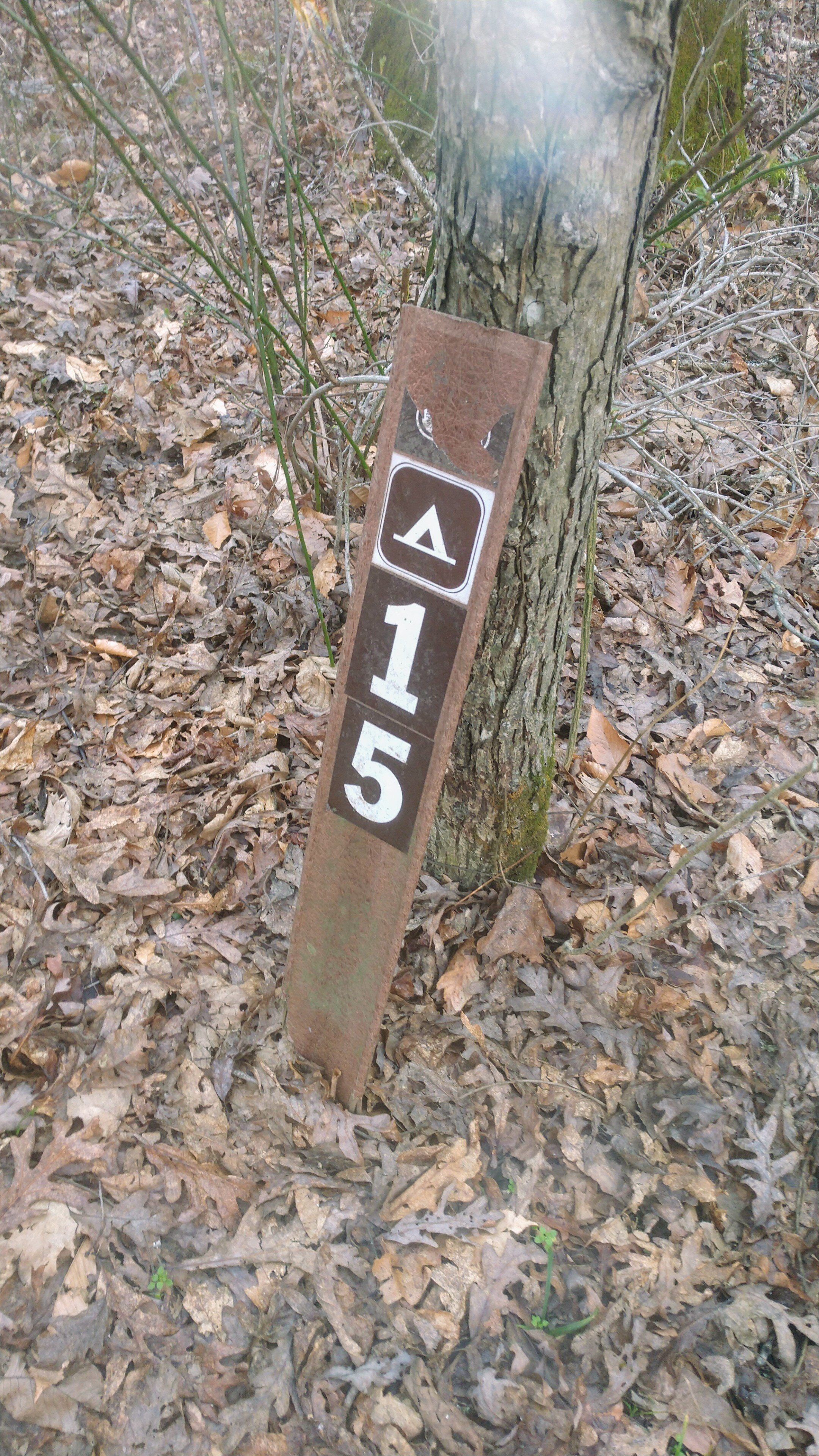 Turkey Foot Cascade - Campsite #15 Sign - Kentucky Hiker Project.jpg