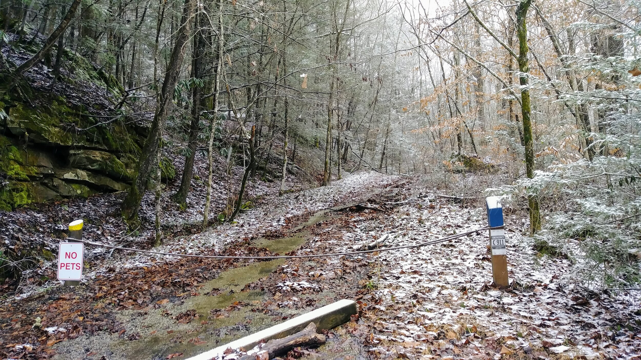 Blue Bend Loop Trail Gate - Kentucky Hiker Project.jpg