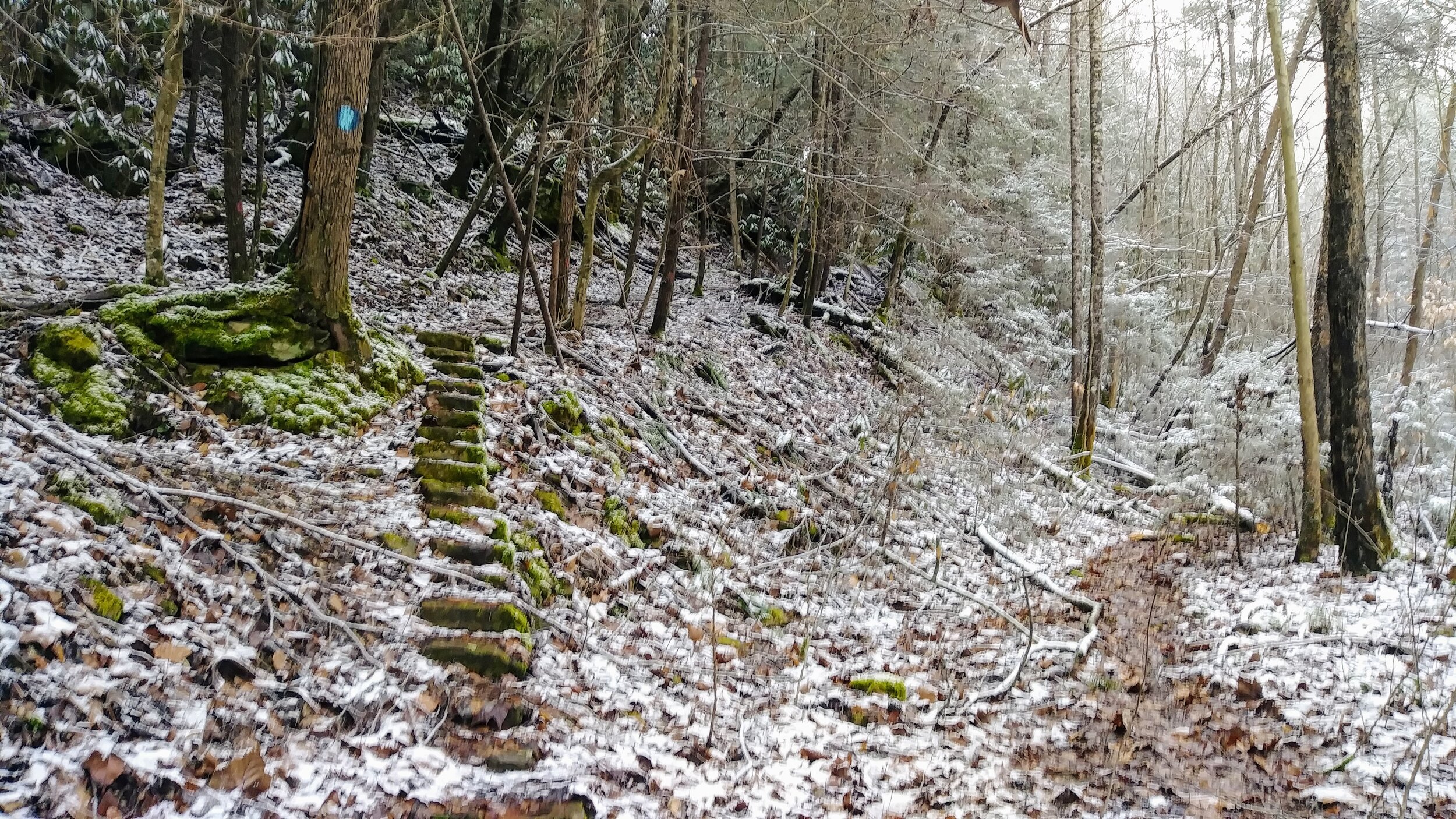 Blue Bend Loop Narrow Stone Steps - Kentucky Hiker Project.jpg