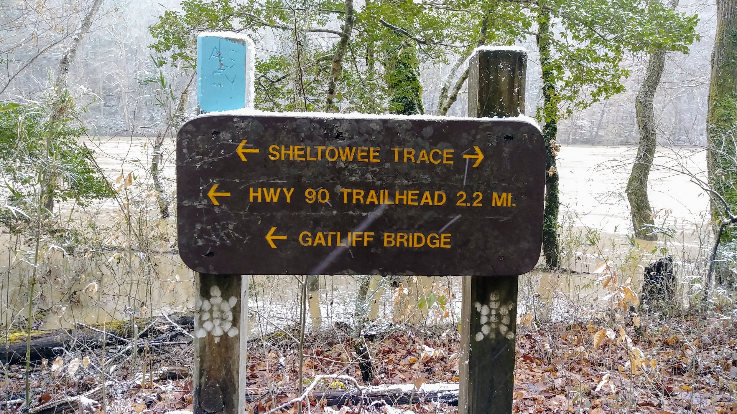 Blue Bend Loop Trail Sign at Intersection with Sheltowee Trace - Kentucky Hiker Project.jpg