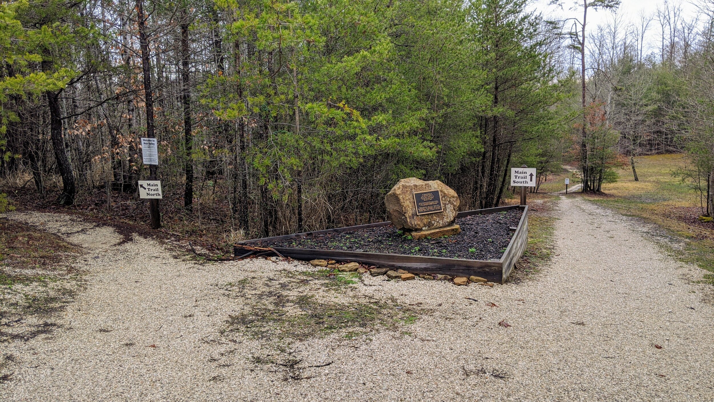 Fork of North and South Trails at Muir Valley - Kentucky Hiker Project.jpg