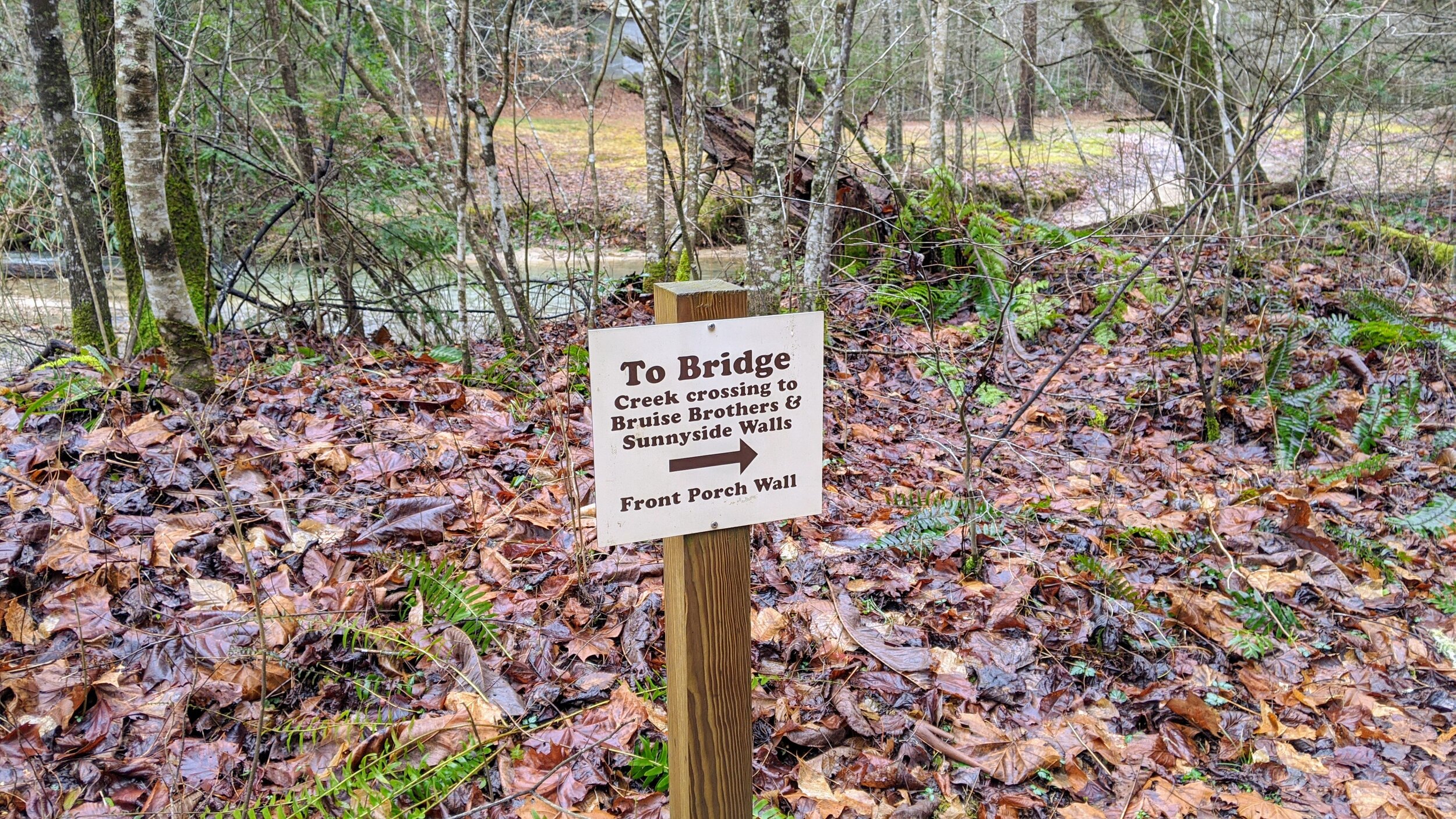 Trail Sign to Bridge at Bottom of South Trail in Muir Valley - Kentucky Hiker Project.jpg