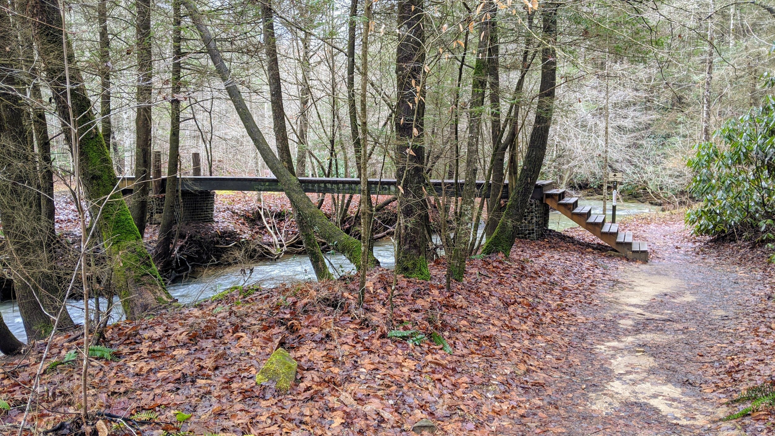 Bridge Across Middle Fork Lower Devil Creek in Muir Valley - Kentucky Hiker Project.jpg