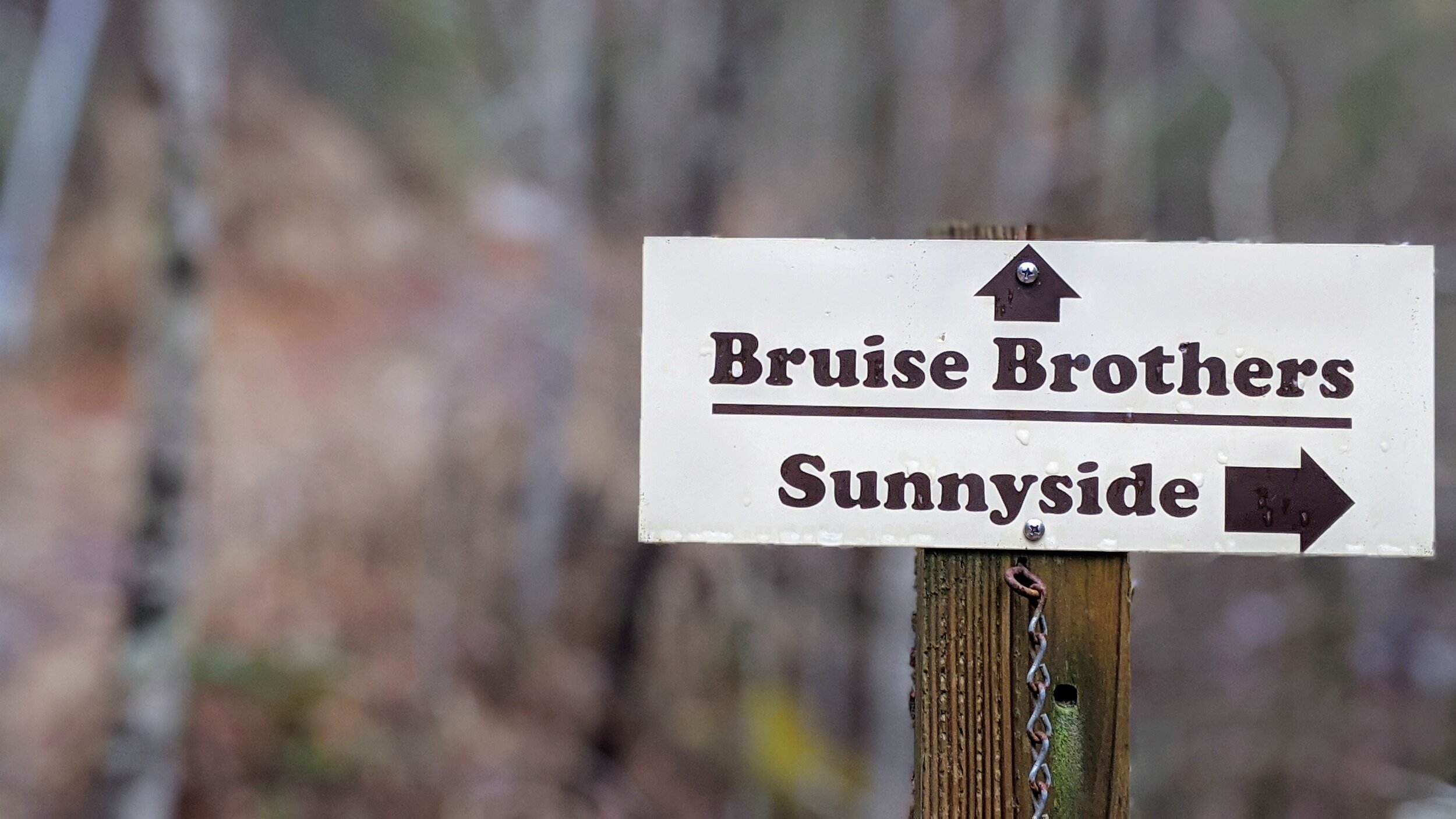 Trail Sign at Muir Valley to Bruise Brothers - Kentucky Hiker Project.jpg