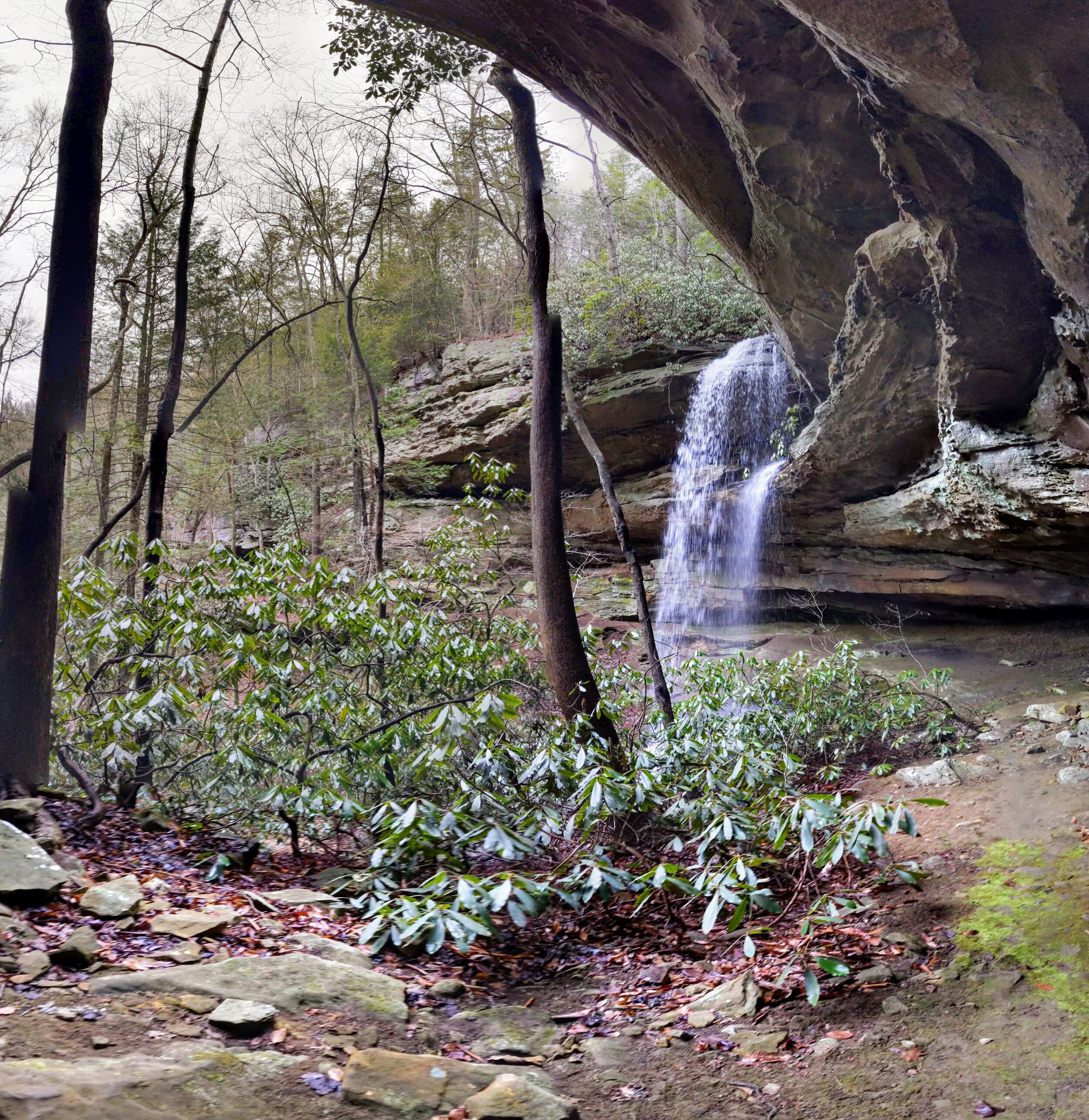 Horseshoe Falls in Muir Valley from South View - Kentucky Hiker Project.jpg