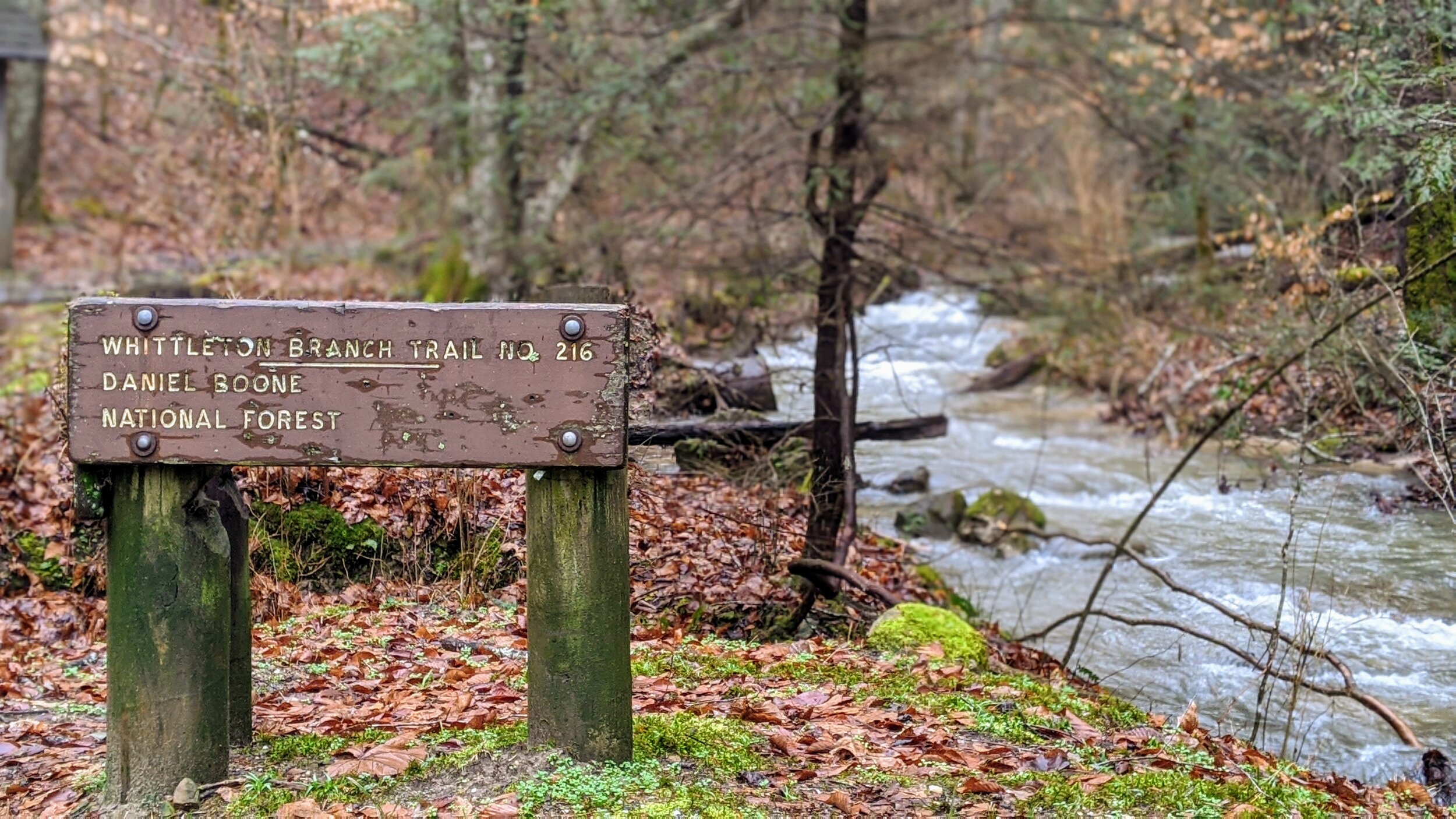 Sign at South Trailhead of Whittleton Branch Trail - Kentucky Hiker Project.jpg