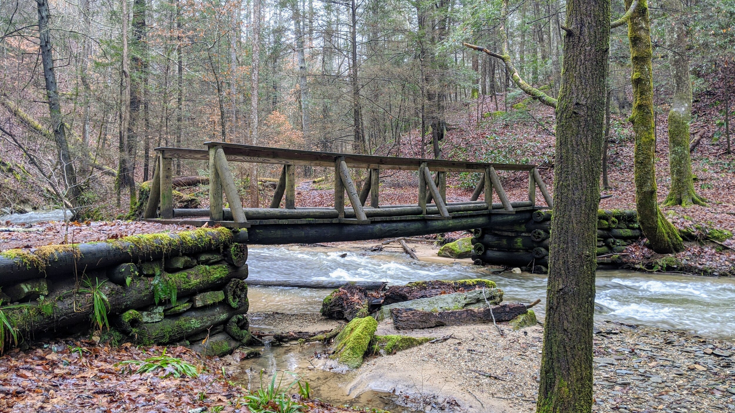 Bridge Over Whittleton Branch - Kentucky Hiker Project.jpg