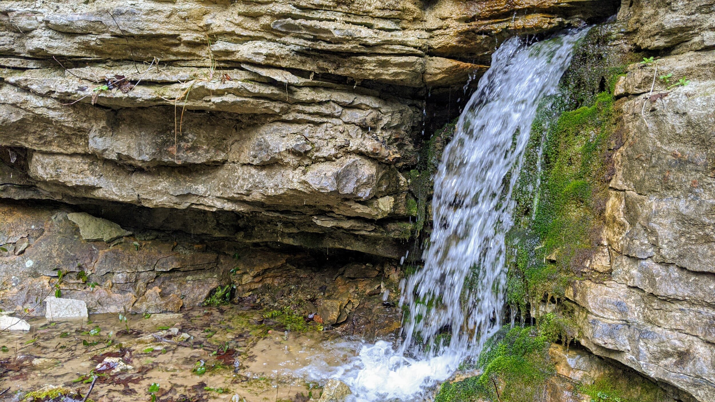 Water Pouring Out of Rock Wall Above Whittleton Branch Trail - Kentucky Hiker Project.jpg